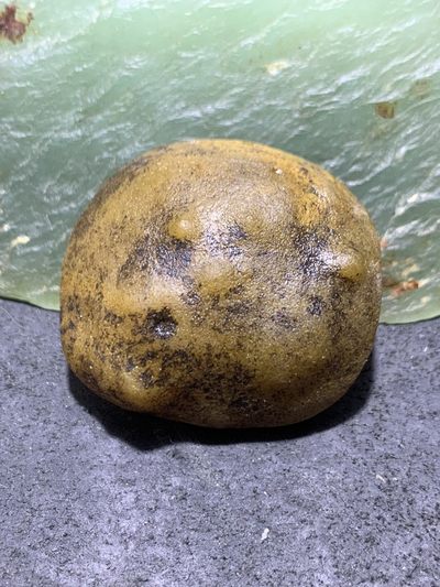 精美原皮蒙料战国红玛瑙高润度金沙料雕刻仿古龙吊坠一个 精美原皮蒙料战国红玛瑙高润度金沙料雕刻仿古龙吊坠一个