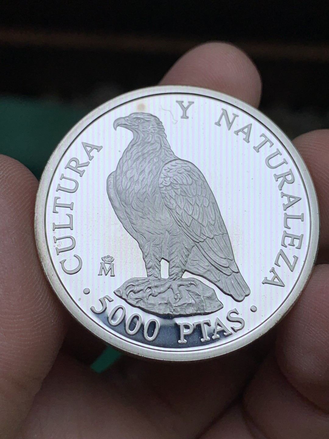 《竞宝斋》第151场-周日，周一，周四 3场 (全场包邮) 原盒 西班牙1994年 保护大自然系列 老鹰 5000比塞塔 精制大银币 54克 92.5%银 