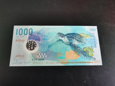 Immortal auction 第五拍，春日阳光 - 马尔代夫大海龟1000 无47乱蛇，全新unc