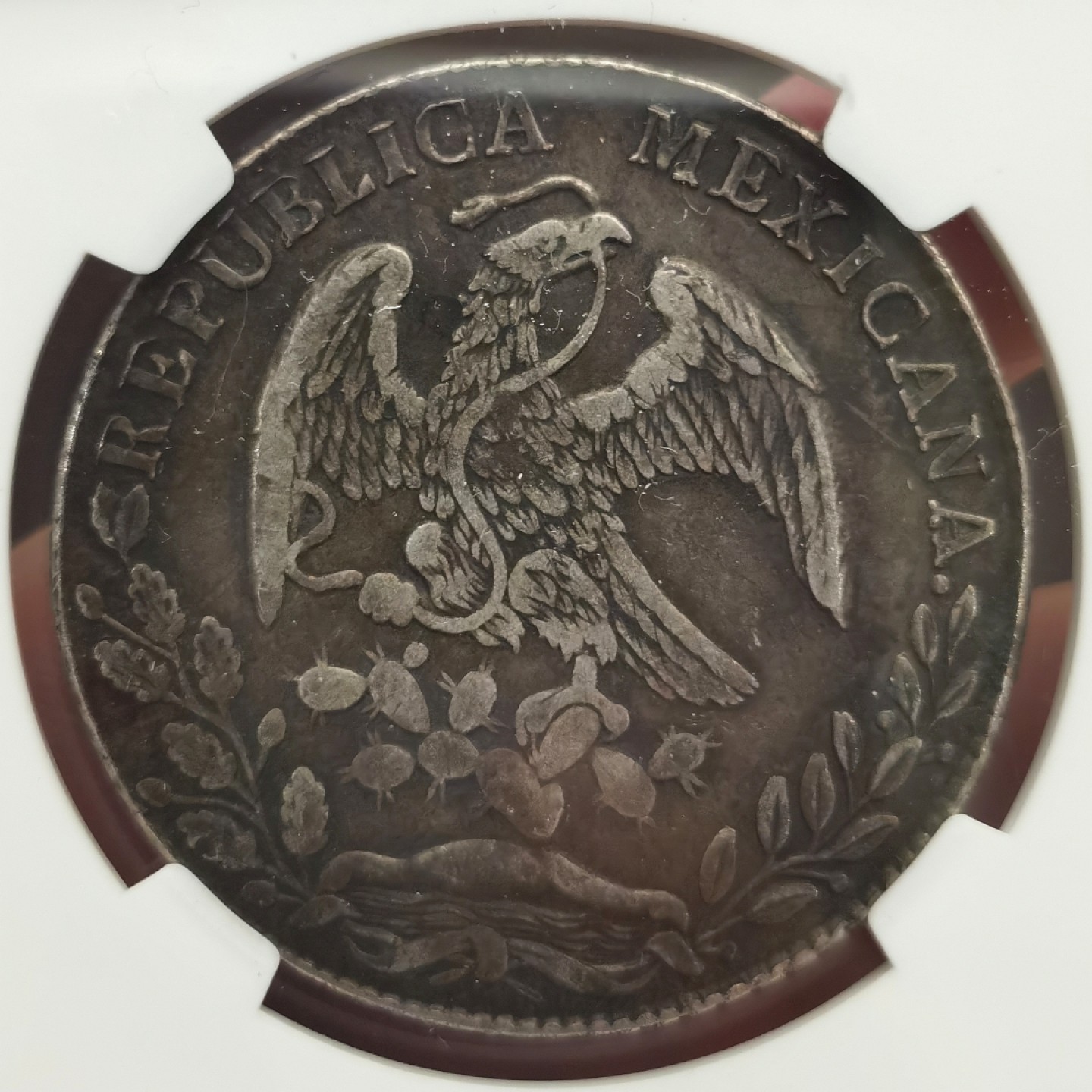 博洋堂世界钱币拍卖第022期（全场包邮） NGC XF 墨西哥1877年MO MH版花边鹰洋 原味黑彩 状态一流