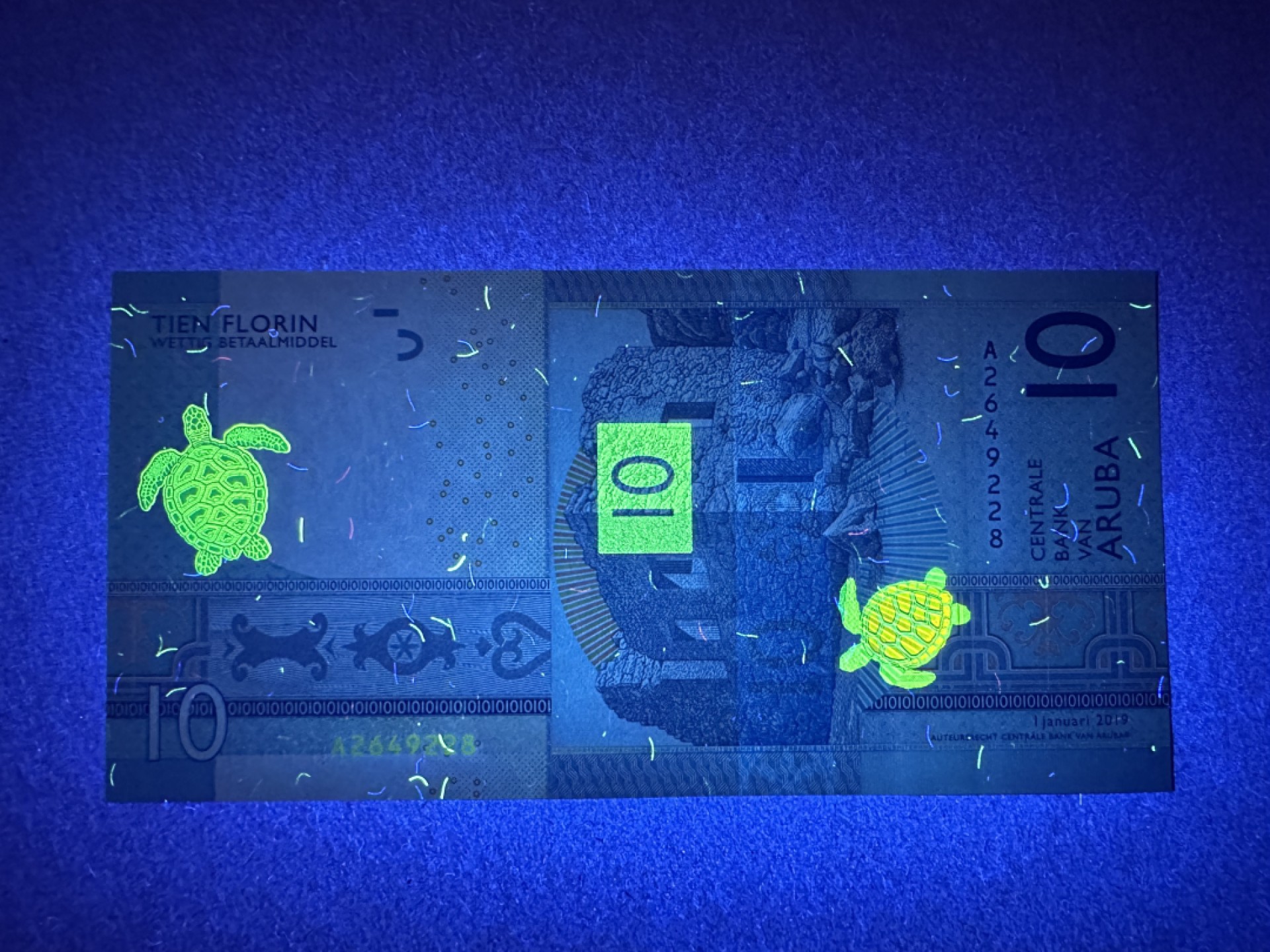 《张总收藏》97期——外币百拍 阿鲁巴10弗罗林 UNC A冠2019年
