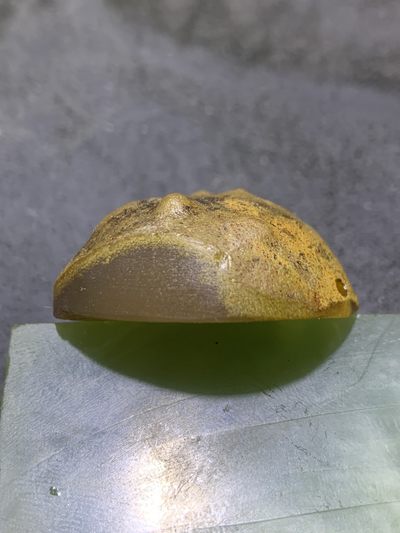 精美原皮蒙料战国红玛瑙高润度金沙料雕刻仿古龙吊坠一个 精美原皮蒙料战国红玛瑙高润度金沙料雕刻仿古龙吊坠一个