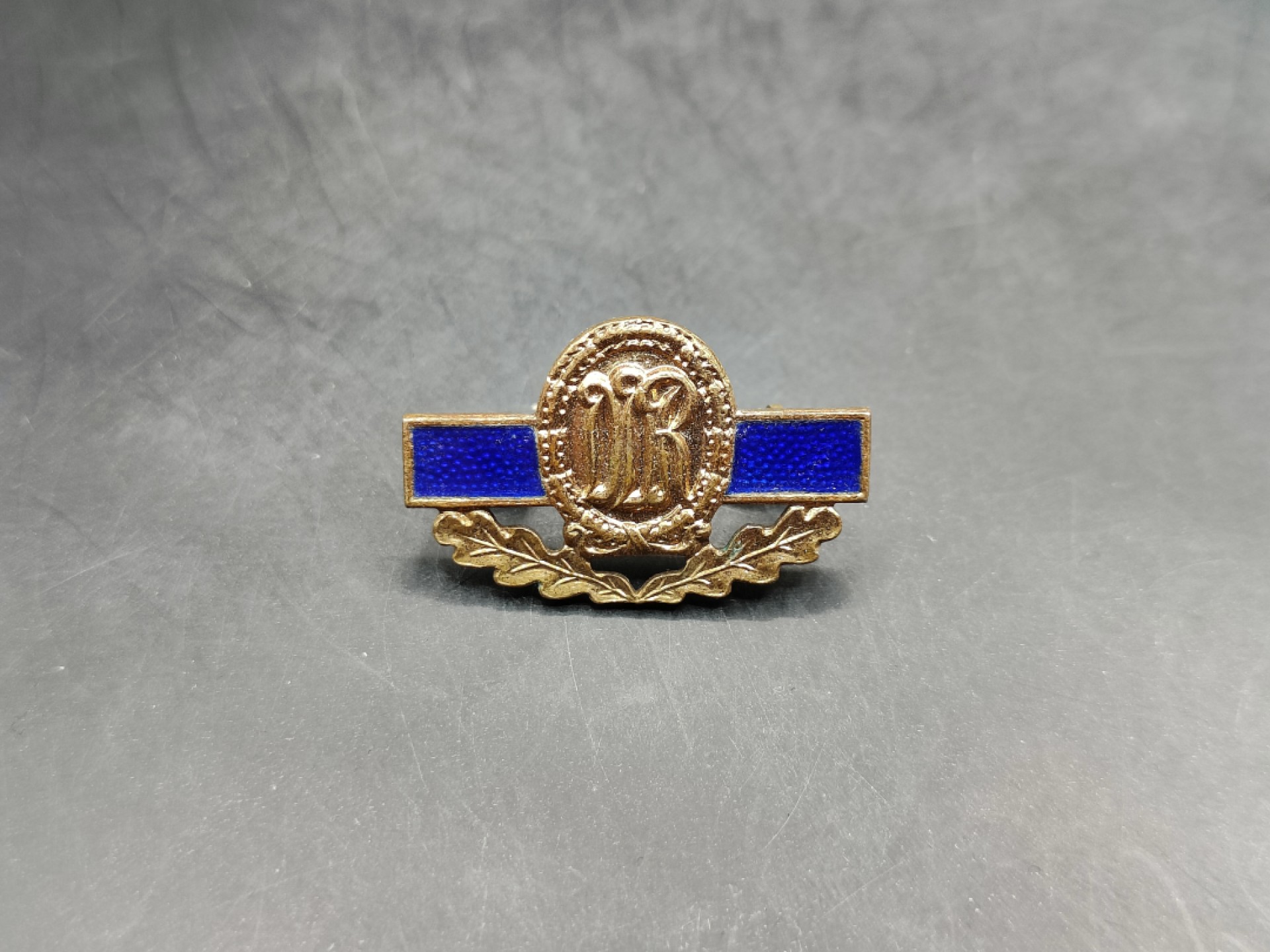 全场0元起拍 第46期 咸鱼国勋章拍卖专场 4月12日（周三）下午6：00开始 东德特级体能章