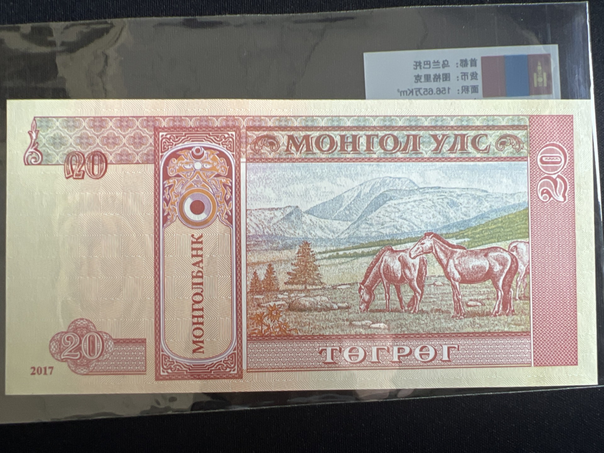 泡泡堂微拍第一 二 三幕硬币、纸币捡漏可累计专场👿👿，累计满二十元包邮，接受代拍业务 蒙古20图