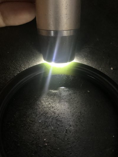 天然和田青玉手镯一只 天然和田青玉手镯一只