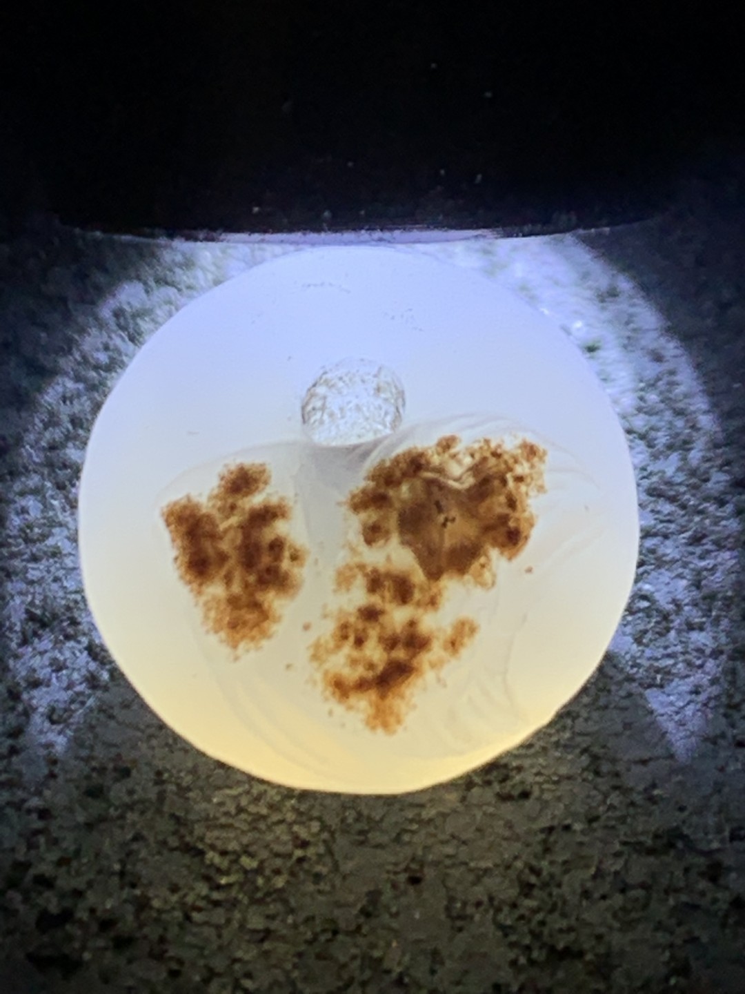 精美亚光高玉化海洋玉髓手工俏色巧雕富贵有鱼墩子一个！