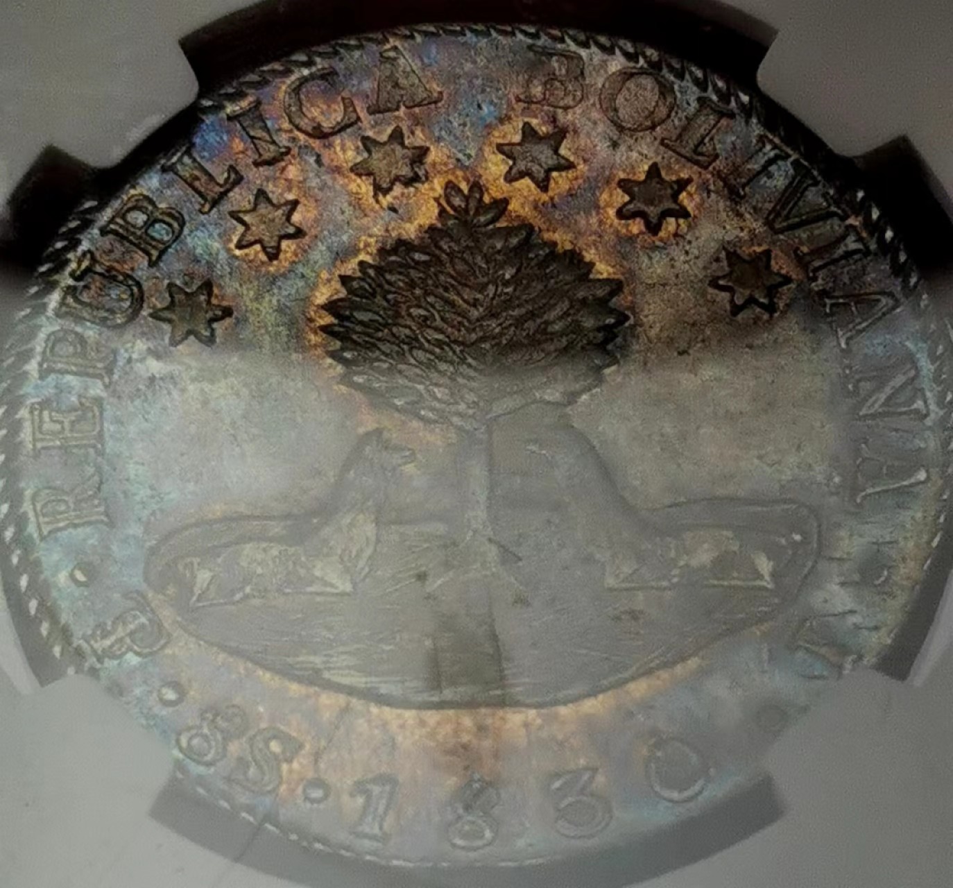 凡希社世界钱币微拍第二百三十五期 1830玻利维亚8S大银NGC-58五彩！