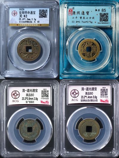 小骏钱币 - 安南明命，康熙，道光