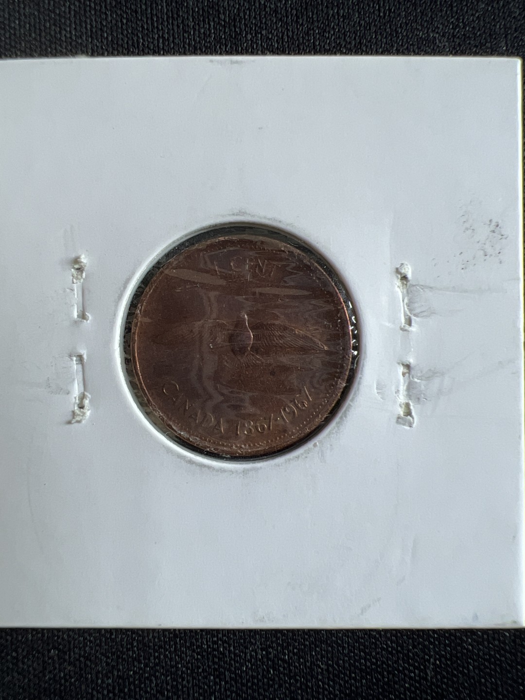 泡泡堂微拍第一 二 五幕硬币捡漏可累计专场👿👿，累计满二十元包邮，接受代拍业务 加拿大