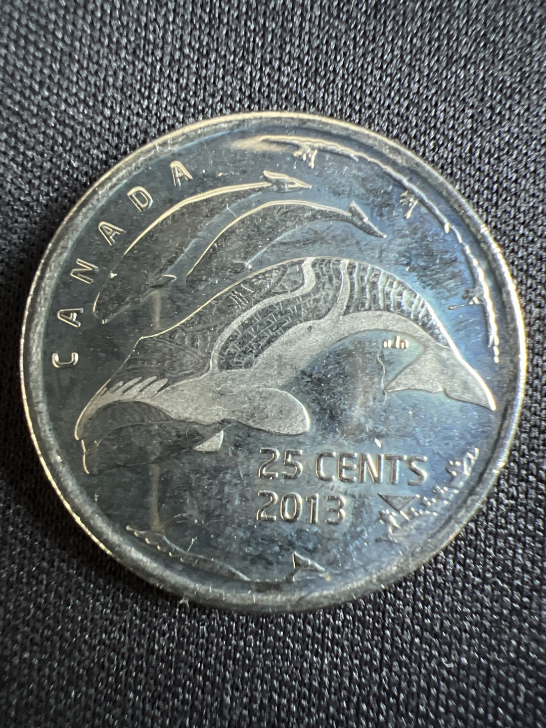 泡泡堂微拍第一 二 四幕硬币捡漏可累计专场👿👿，累计满二十元包邮，接受代拍业务 加拿大25分纪念币