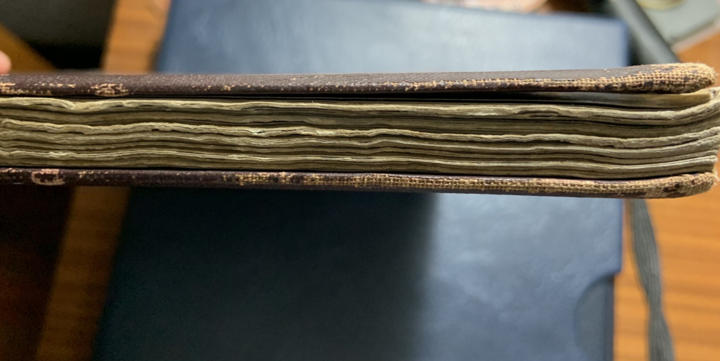 收藏联盟Quantum Auction 第249期拍卖  伏罗希洛夫访问中国图册(1957年出版5000册) 品相如图