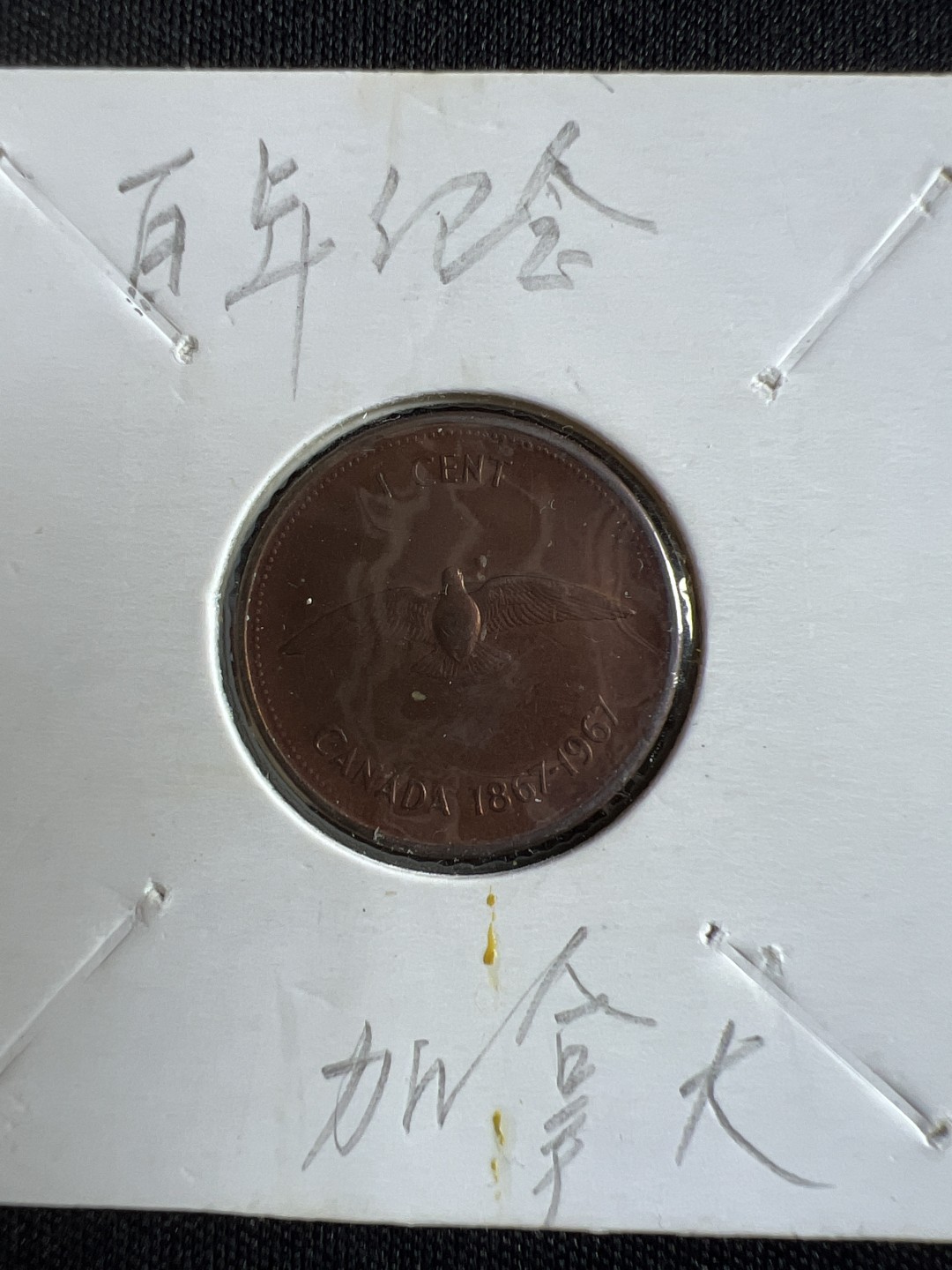 泡泡堂微拍第一 二 四幕硬币捡漏可累计专场👿👿，累计满二十元包邮，接受代拍业务 加拿大