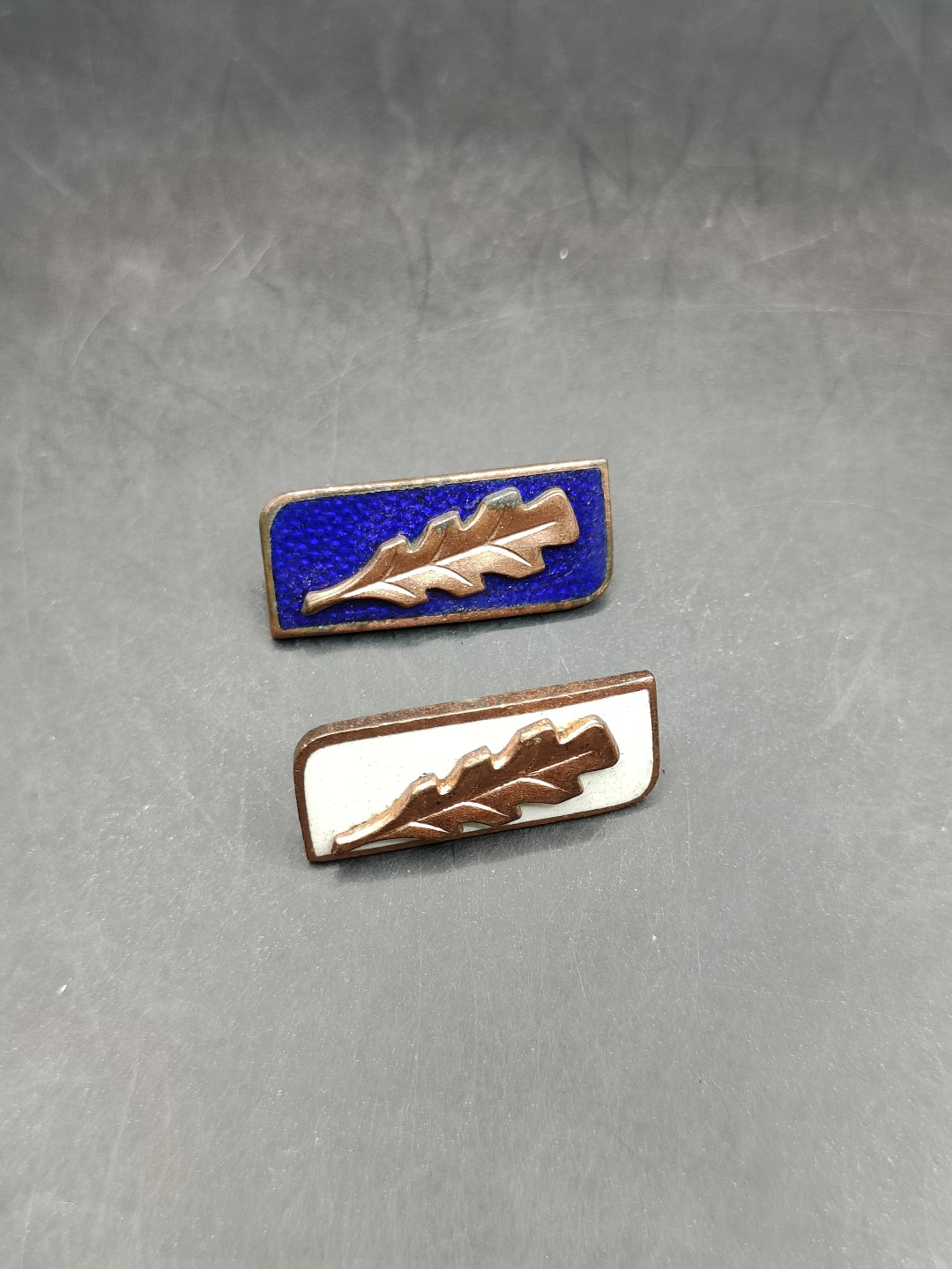 全场0元起拍 第47期 咸鱼国勋章拍卖专场 4月16日（周日）下午6：00开始 东德橡叶徽章 珐琅底 两个