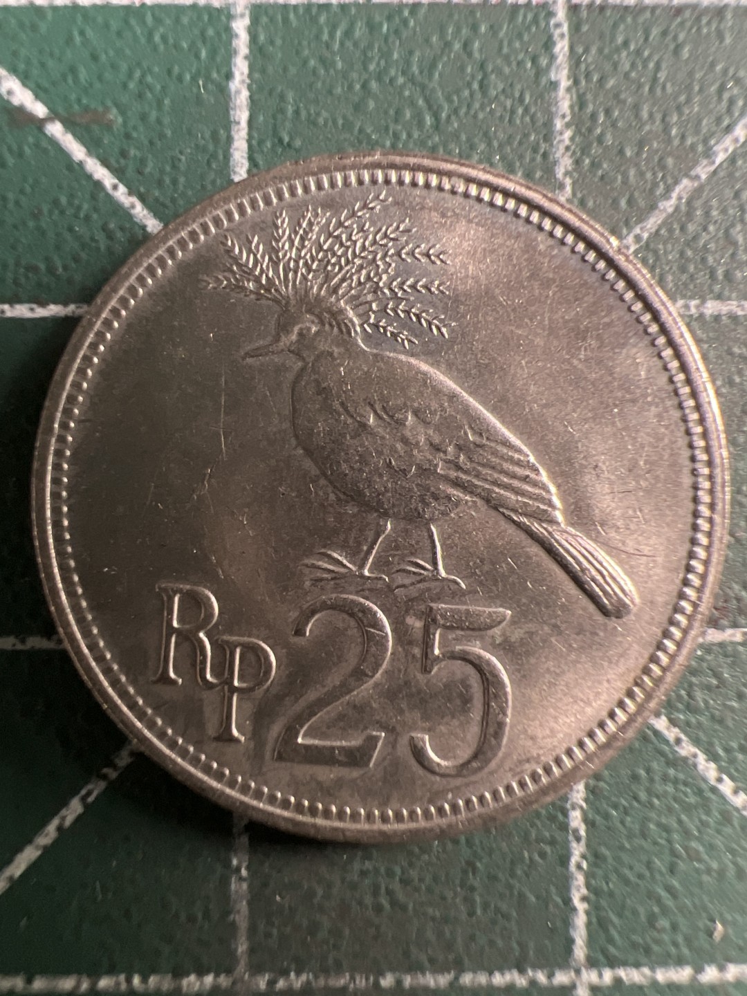 泡泡堂第281期  世界硬币 （无押金，捡漏，全场20包邮，偏远地区除外，接收代拍业务） 印度尼西亚25卢比