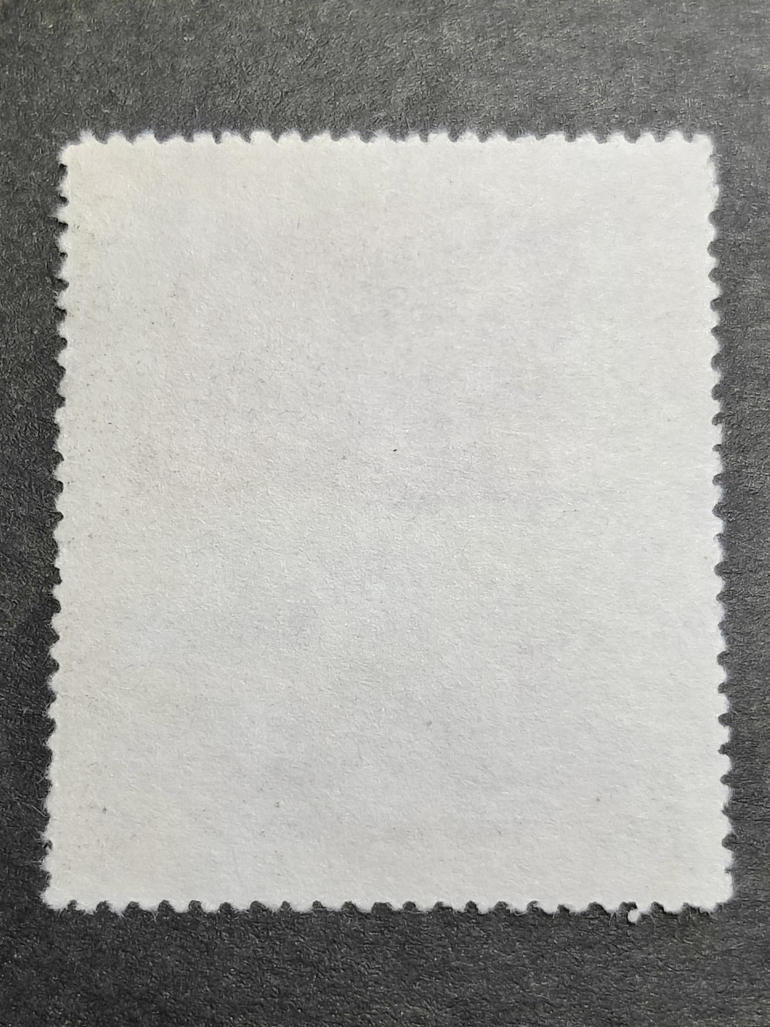 洪涛臻品批发群  精选邮票限时拍卖第二百三十二期 纪6国旗-1上品 原版！ 原版纪6发行量少,存世量更少,新票存世量更少！【闭口的叶子 有角有棱的红丝带 终生保真原版票！】面艳背白 完美过灯 灯下也无斑无黄无折！角尖齿全票挺！