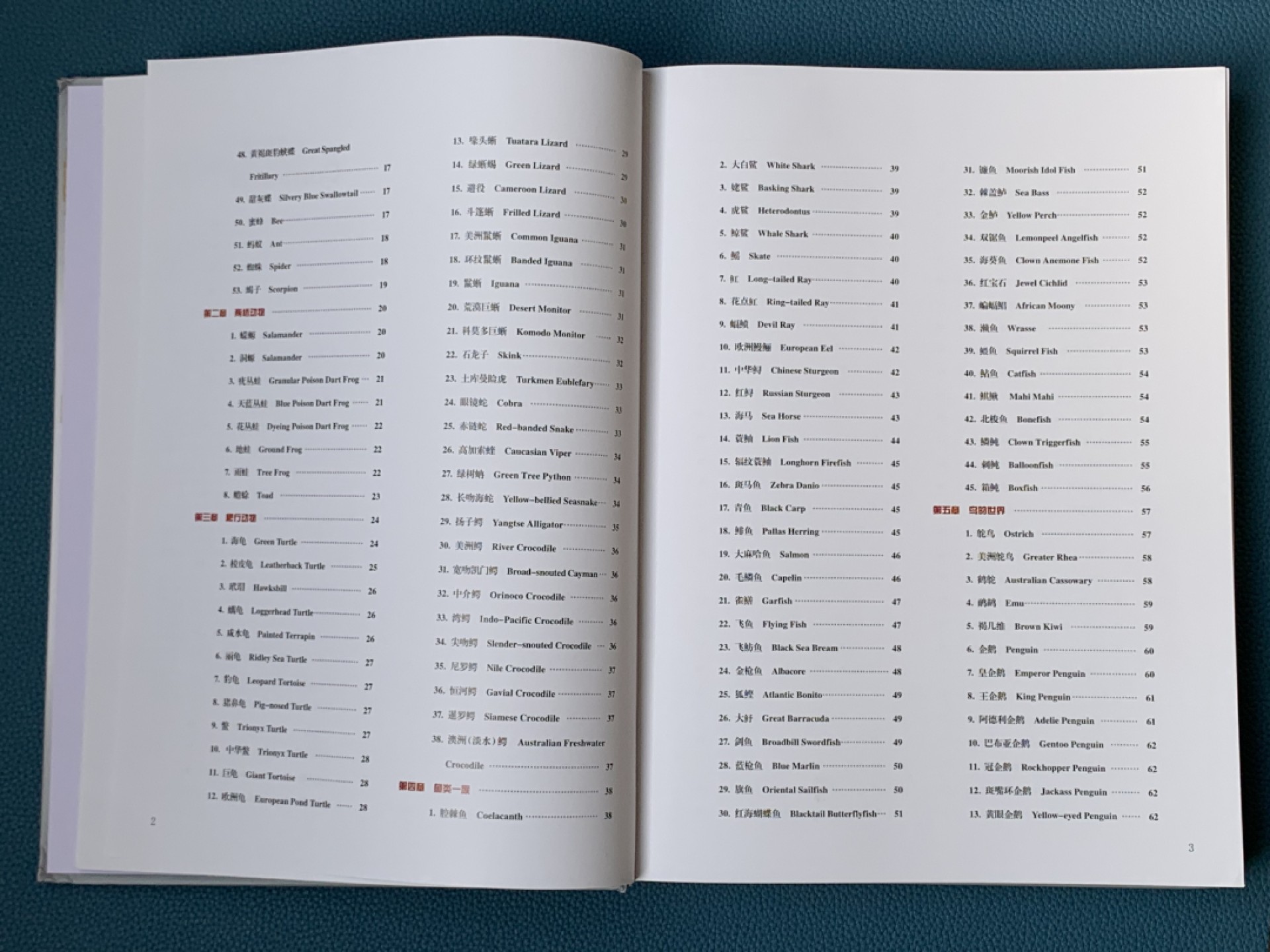 《竞宝斋》第154场-周日，周一，周四 3场 (全场包邮) 《硬币上的动物世界》玩动物币的必备资料，目前市面专题动物系列里最权威的一本书。等同于动物币版的“克劳斯”目录。收录200余个国家地区，1100枚、700多个动物物种，分类科学，全彩，厚达310页，重量近3斤半，几乎玩动物收藏币友人手一本！值得收藏