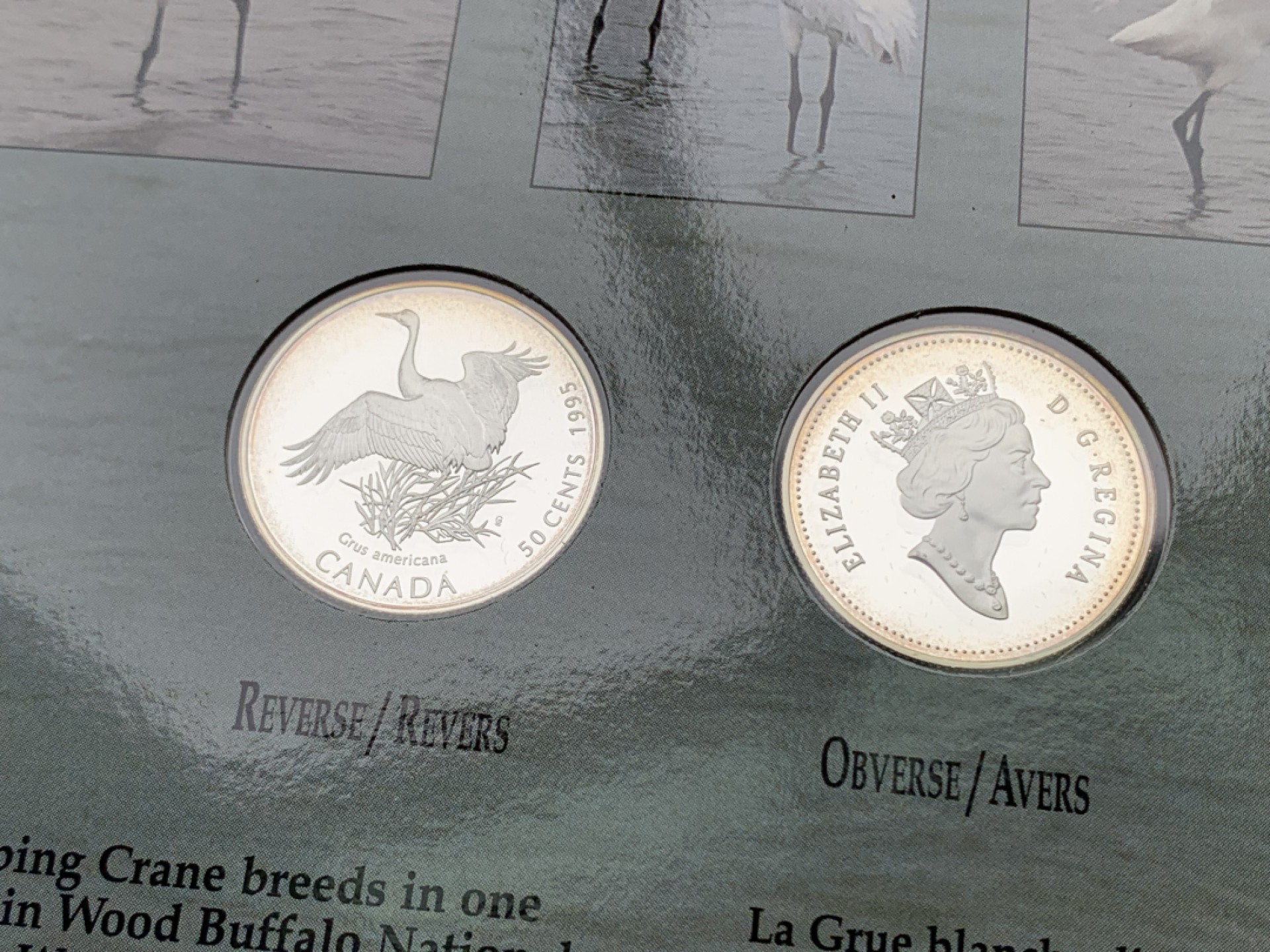 《竞宝斋》第154场-周日，周一，周四 3场 (全场包邮) 加拿大1995年 珍惜动物系列 四枚套精制银币 50分 非常稀少 成套更少见