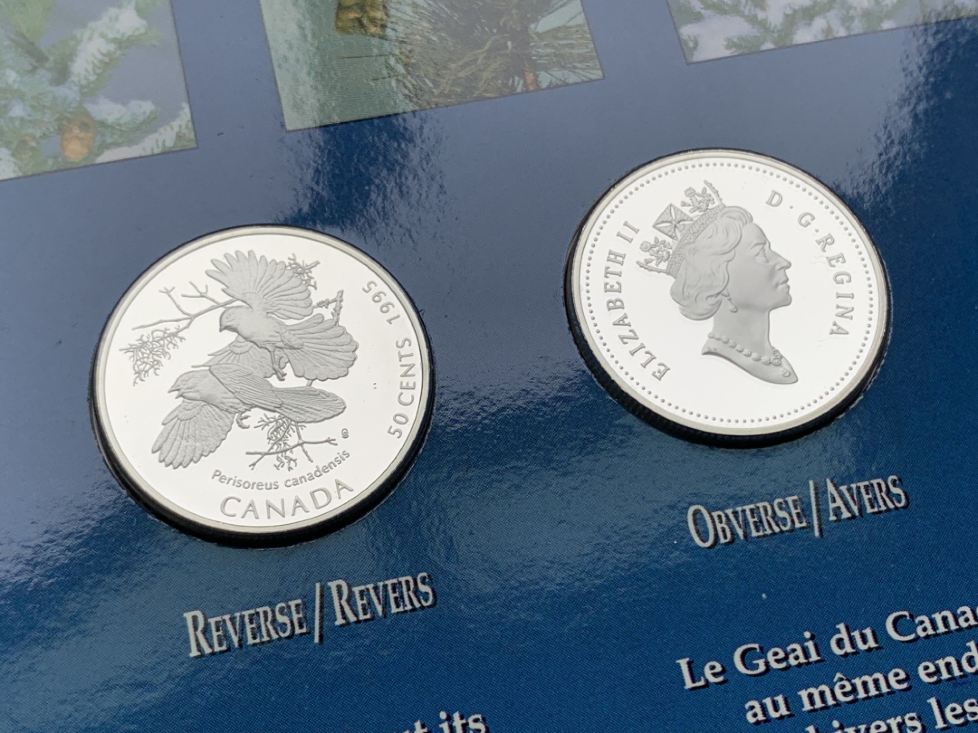 《竞宝斋》第154场-周日，周一，周四 3场 (全场包邮) 加拿大1995年 珍惜动物系列 四枚套精制银币 50分 非常稀少 成套更少见