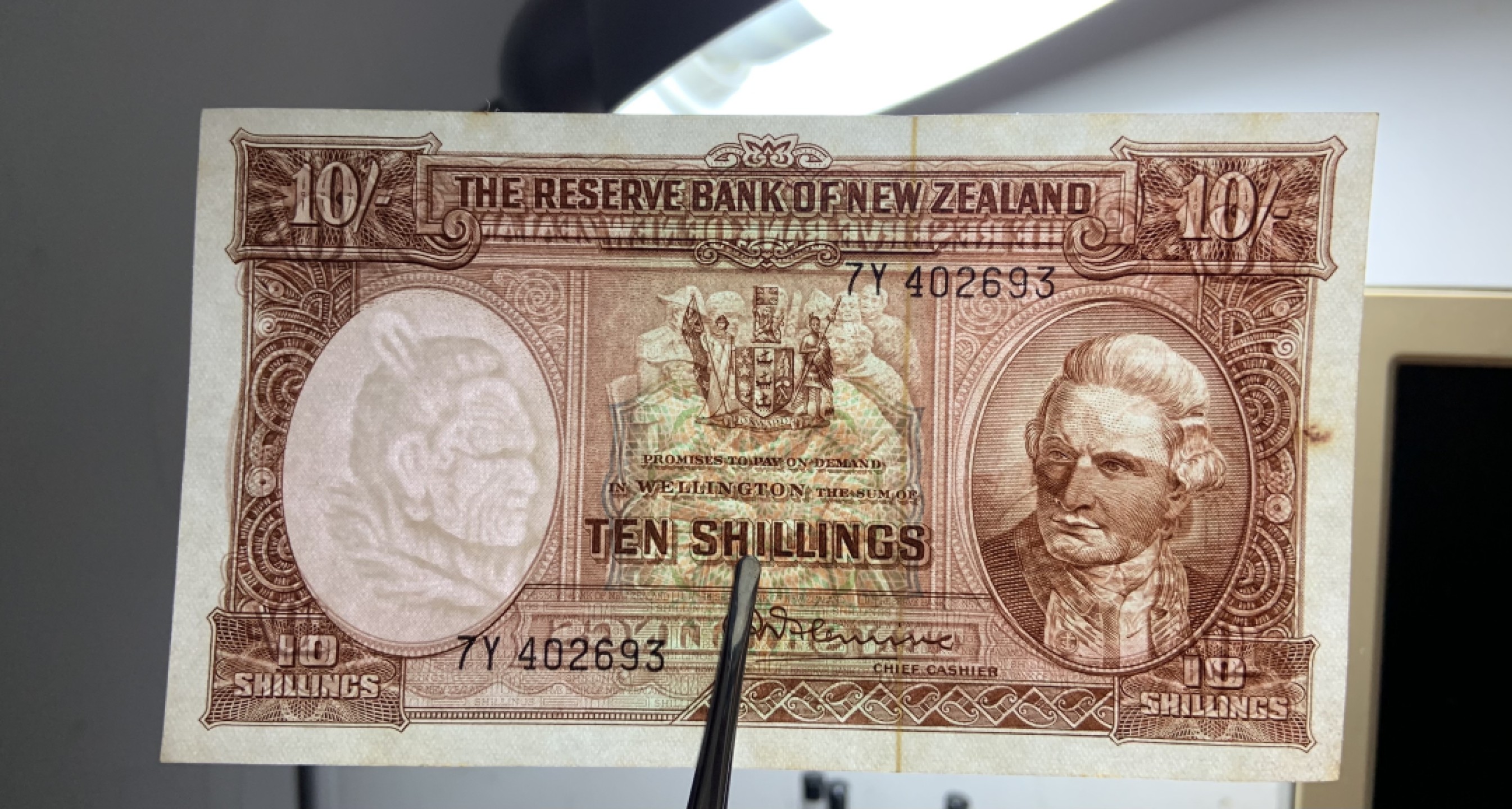 收藏联盟Quantum Auction 第250期拍卖  新西兰1960-67年10先令 品相UNC- 《唐怀依条约》几维鸟