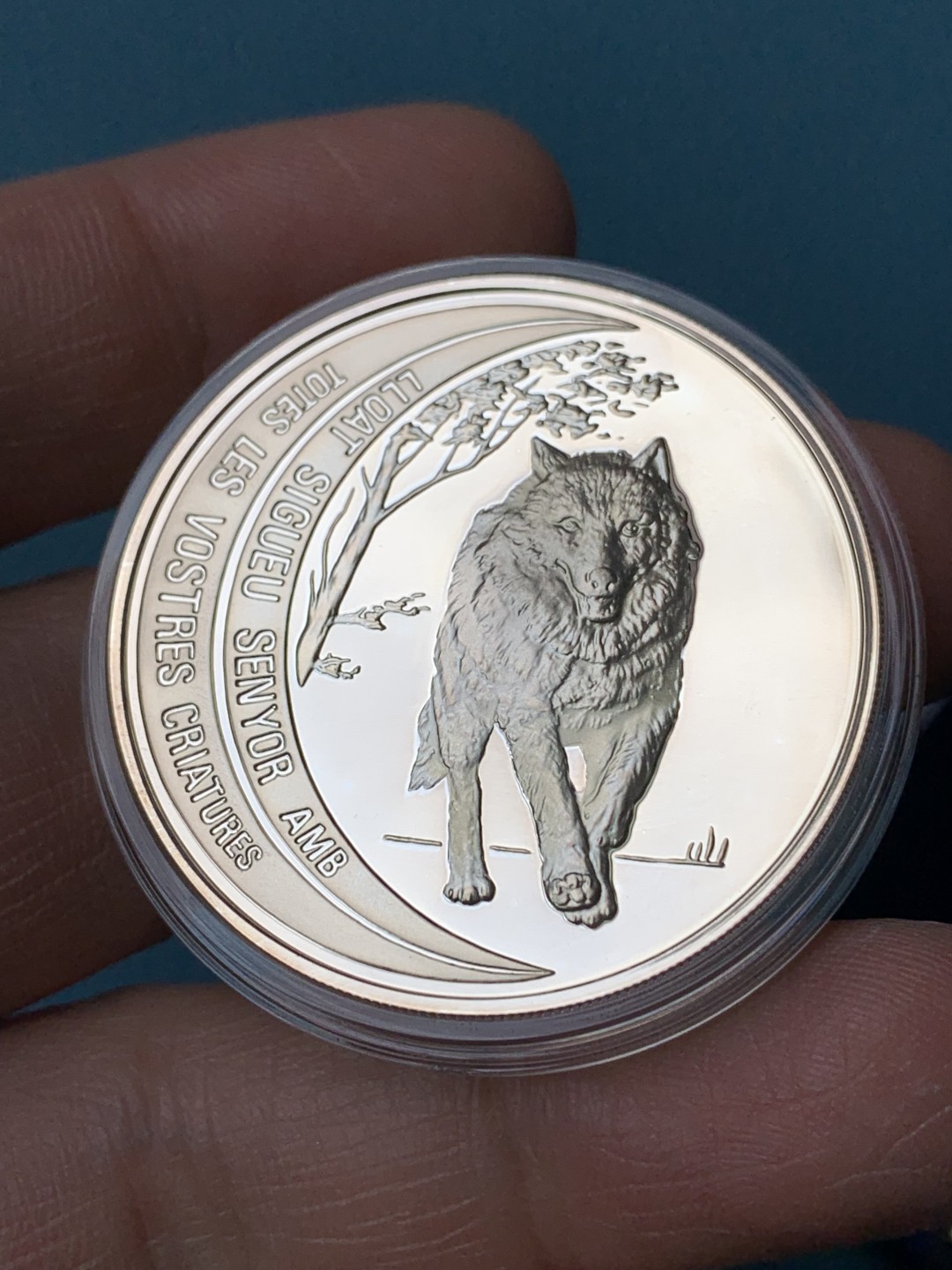 《竞宝斋》第154场-周日，周一，周四 3场 (全场包邮) 安道尔1995年 草原狼10第纳尔精制大银币 31.1克 925银