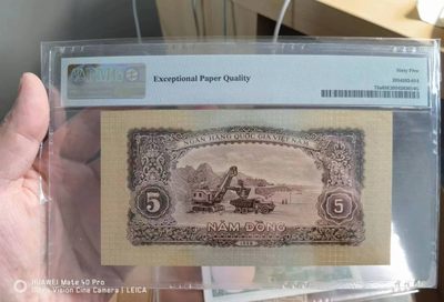 238.【鲸贝乐淘★两拍包邮】三字经·第“亲师友，习礼仪”号拍卖 【中国代印★越南🇻🇳】1958年5盾，稀有海鸥水印，PMG65E