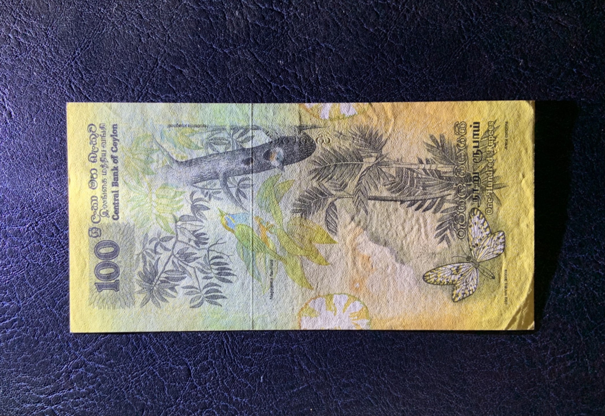 收藏联盟Quantum Auction 第251期拍卖  斯里兰卡1979年100卢比 品相AU- 灯下无斑
