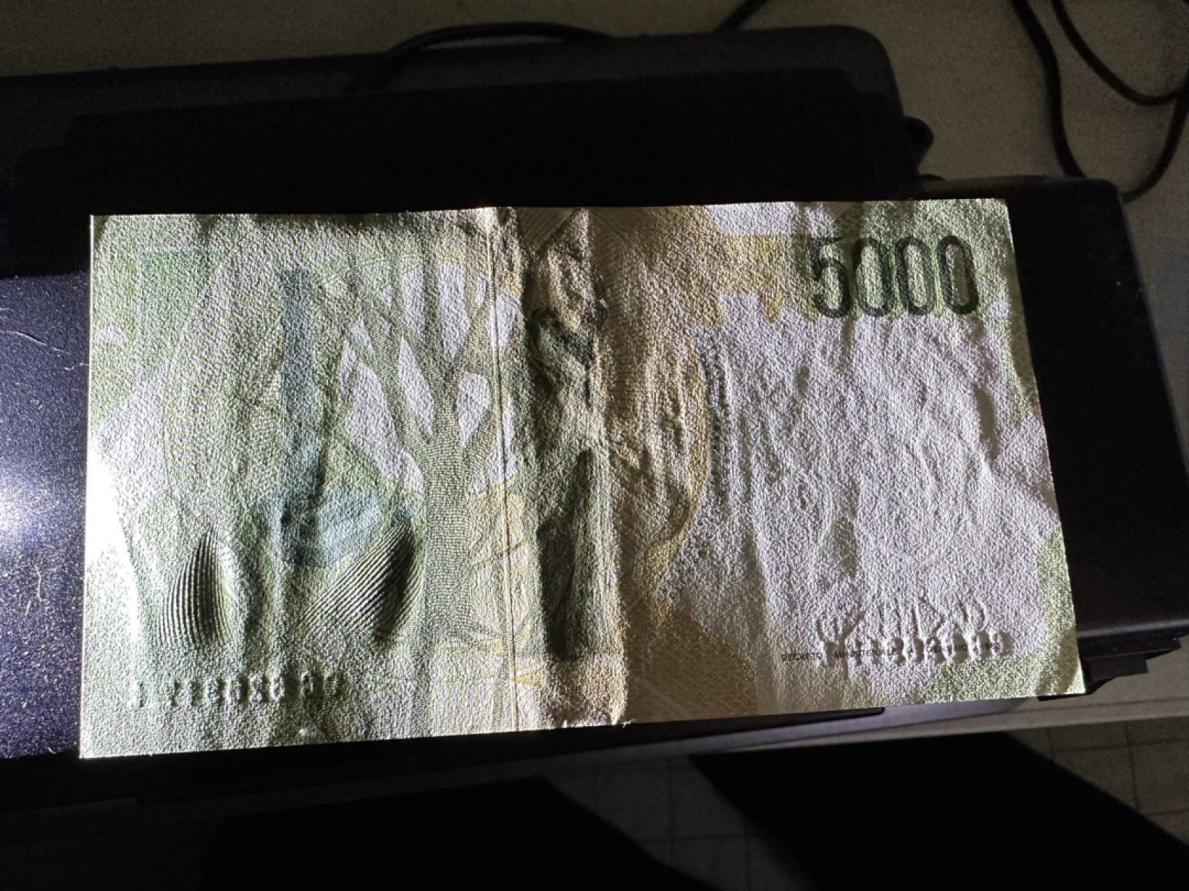 《外钞收藏家》第二百六十二期（连拍第二场） 丹麦和意大利四张一起 AU为主