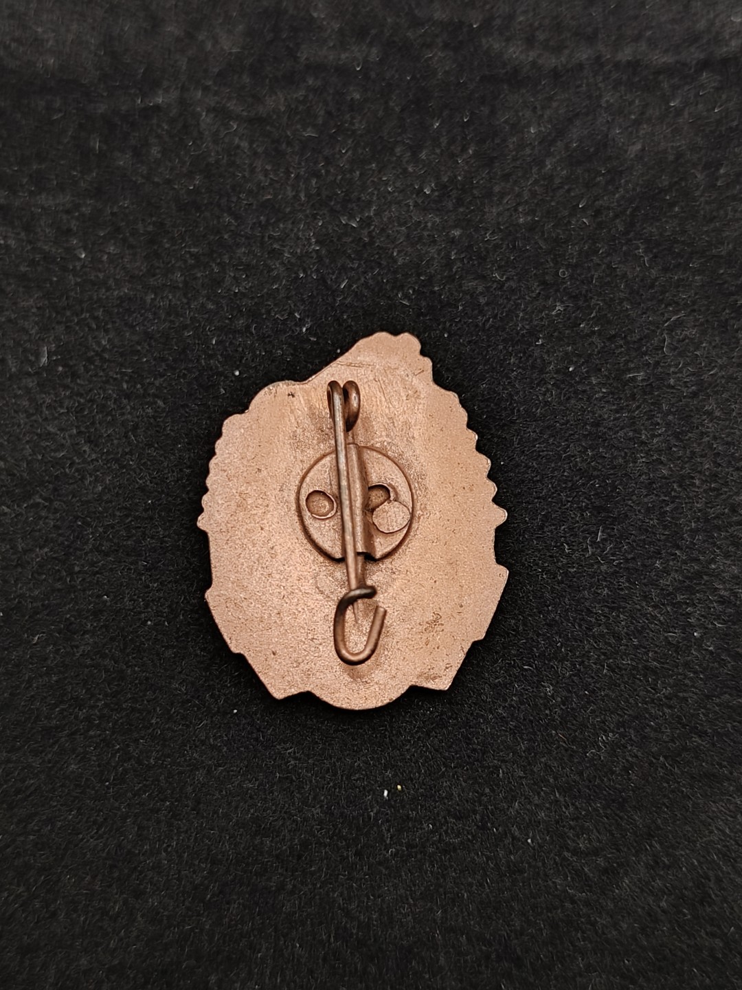 全场0元起拍 第48期 咸鱼国勋章拍卖专场 4月19日（周三）下午6：00开始 东德远足技能章