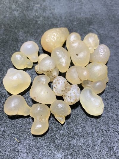 精美天然戈壁白玛瑙葫芦形原石一组， - 精美天然戈壁白玛瑙葫芦形原石一组，