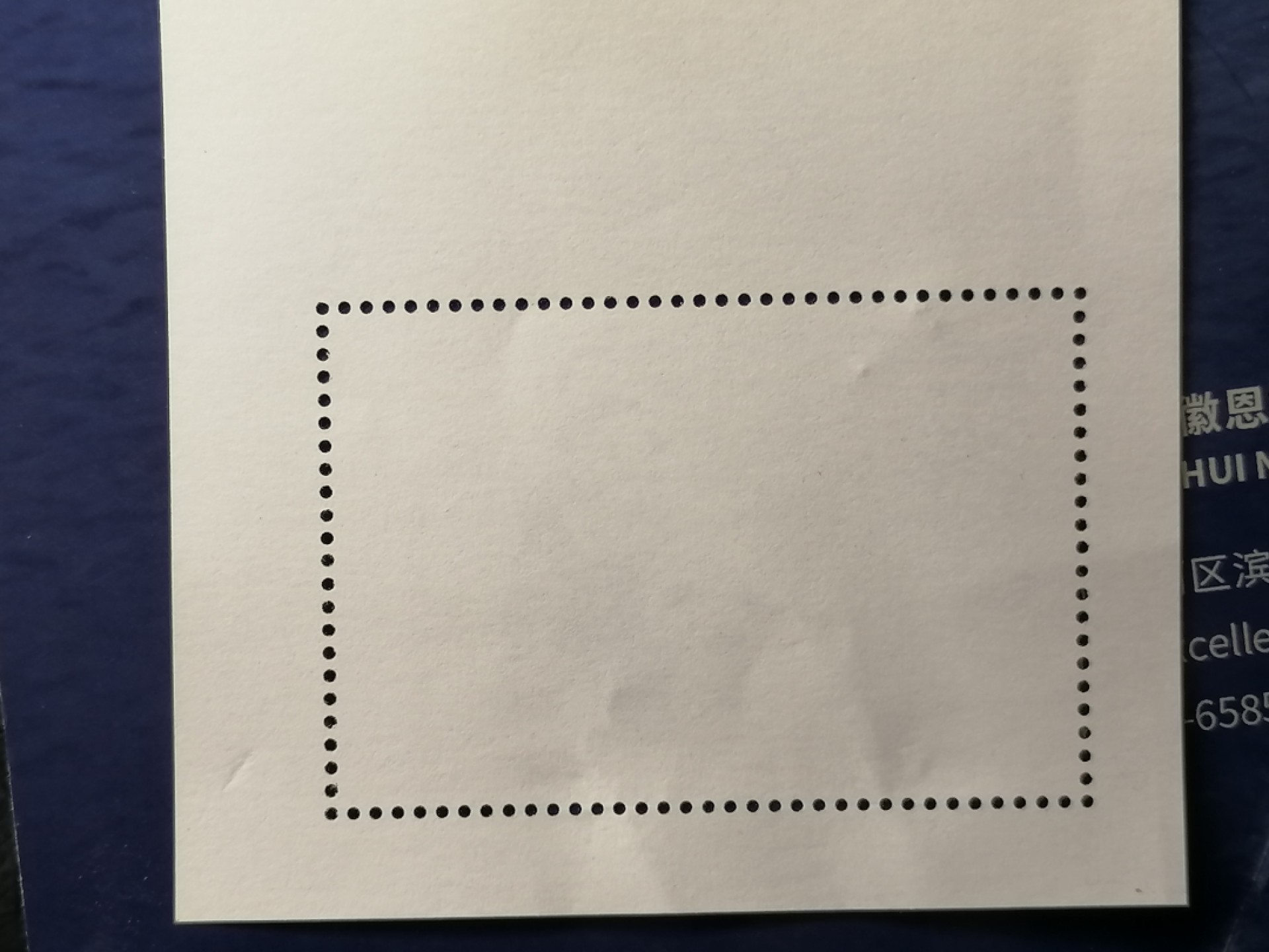 邮票专场 熊猫小型张（全品）