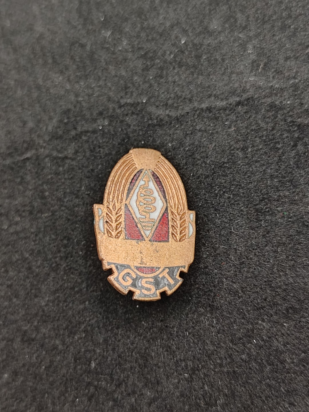 全场0元起拍 第48期 咸鱼国勋章拍卖专场 4月19日（周三）下午6：00开始 德国gst证章 铜珐琅