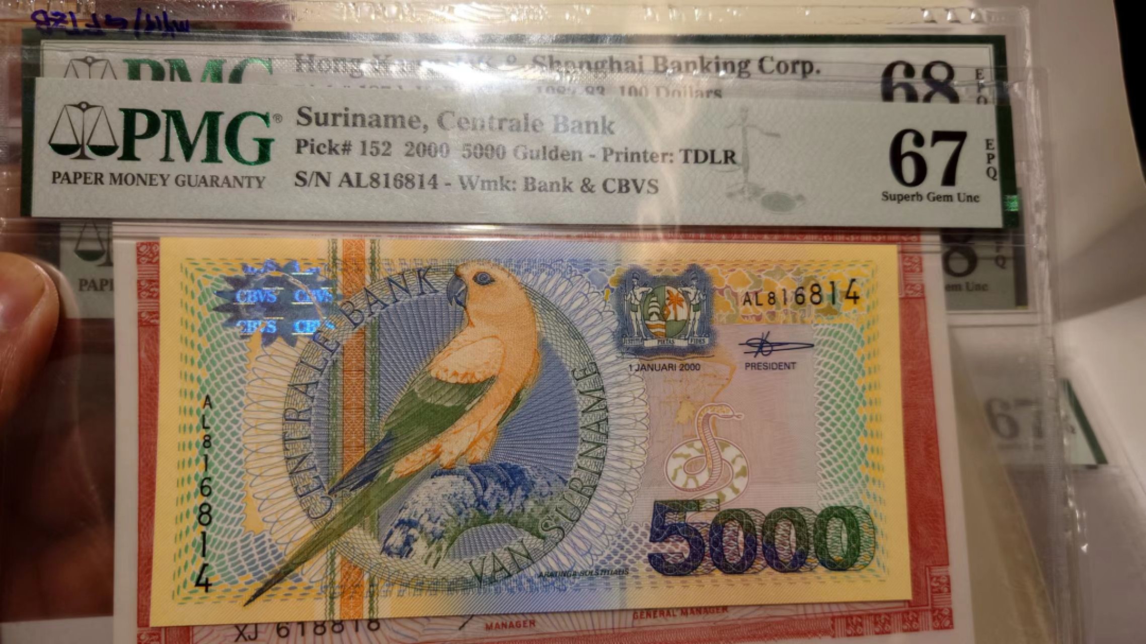 【更多好货继续登录】微拍第59期暨2023年第六期 新品评级币专场 2000年苏里南5000  PMG67E高分