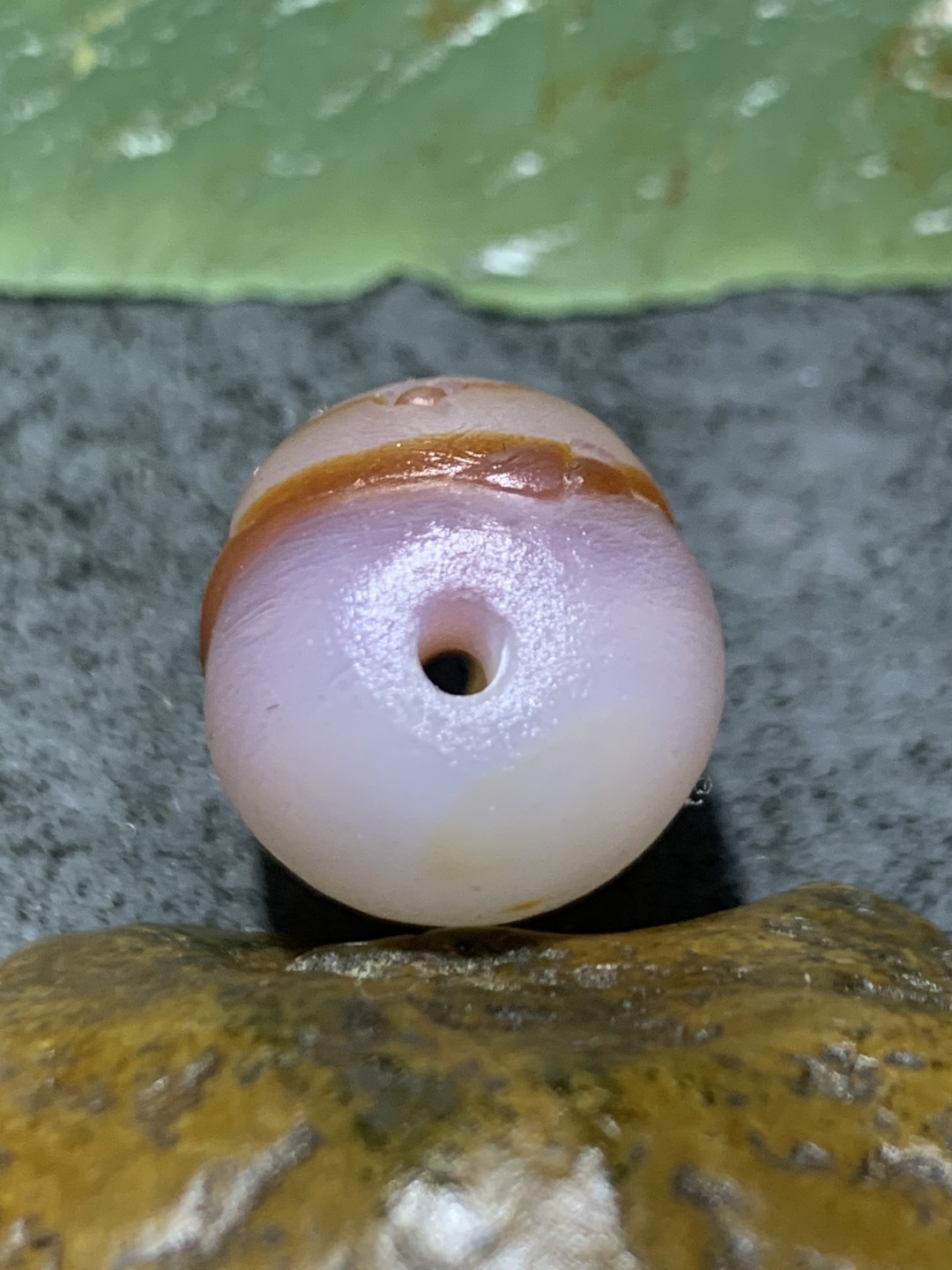 精美亚光高玉化海洋玉髓手工俏色巧雕鹦鹉鱼桶珠一个！