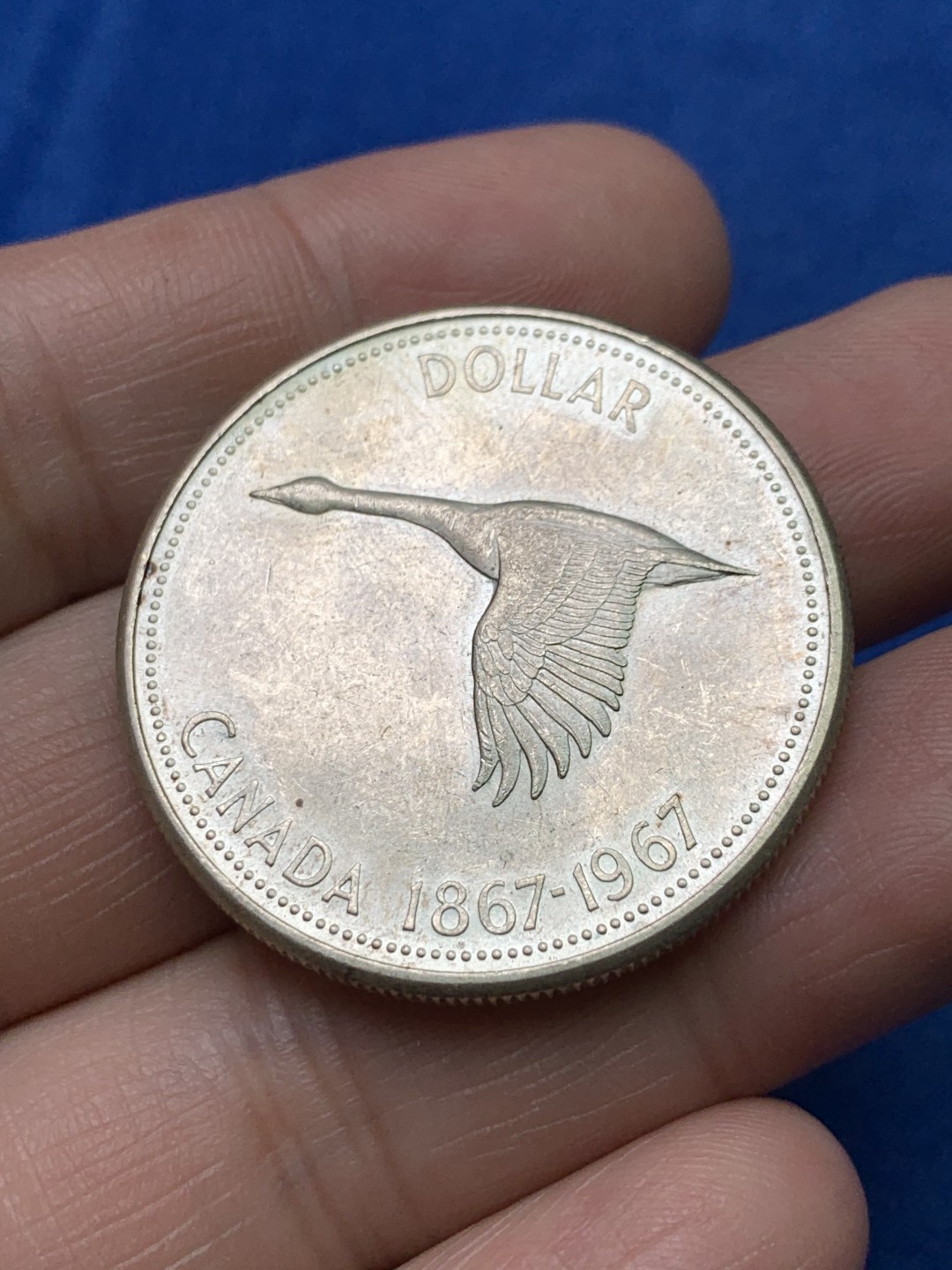 《竞宝斋》三少爷老婆本专场-第156场 (全场包邮) 加拿大1967年大雁1元银币，原光可评级好品相