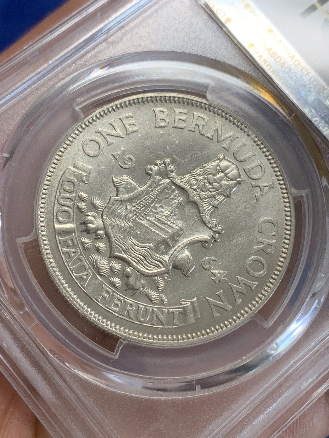 《竞宝斋》三少爷老婆本专场-第156场 (全场包邮) PCGS金盾 MS63 百慕大1964年1克朗大银币