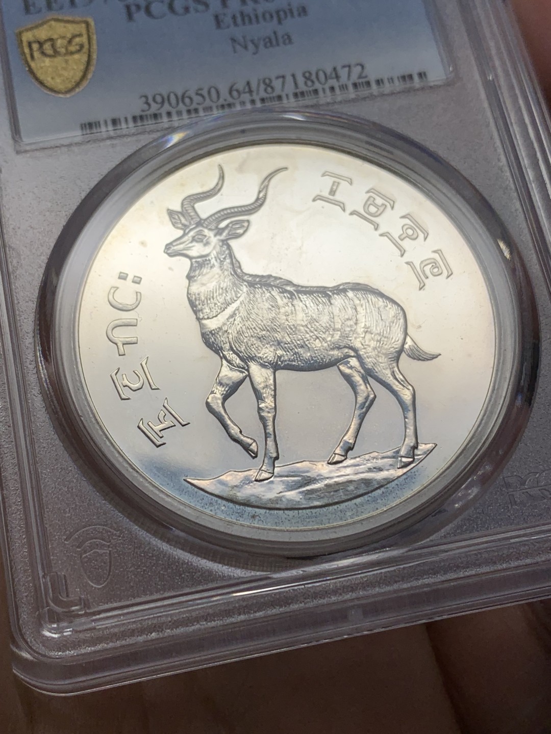 《竞宝斋》三少爷老婆本专场-第156场 (全场包邮) PCGS金盾 PR64DCAM 埃塞俄比亚1978年25比尔精制大银币，900银，直径41.5mm，重量35g，发行量仅3295枚
