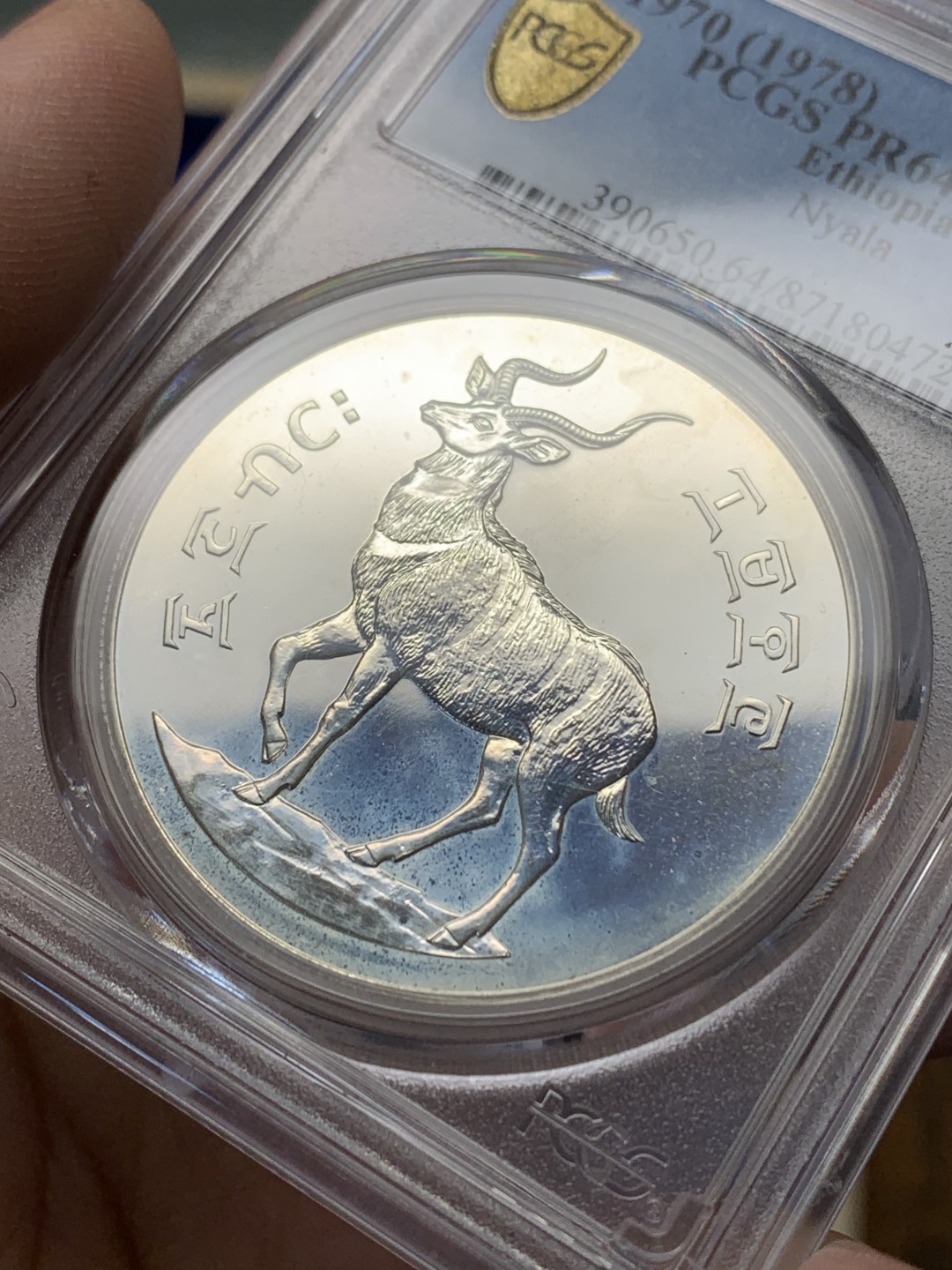 《竞宝斋》三少爷老婆本专场-第156场 (全场包邮) PCGS金盾 PR64DCAM 埃塞俄比亚1978年25比尔精制大银币，900银，直径41.5mm，重量35g，发行量仅3295枚