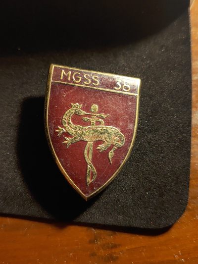 崇实勋章钱币拍卖所（第三期上海发货） - 法国第38卫生服务综合部门证章