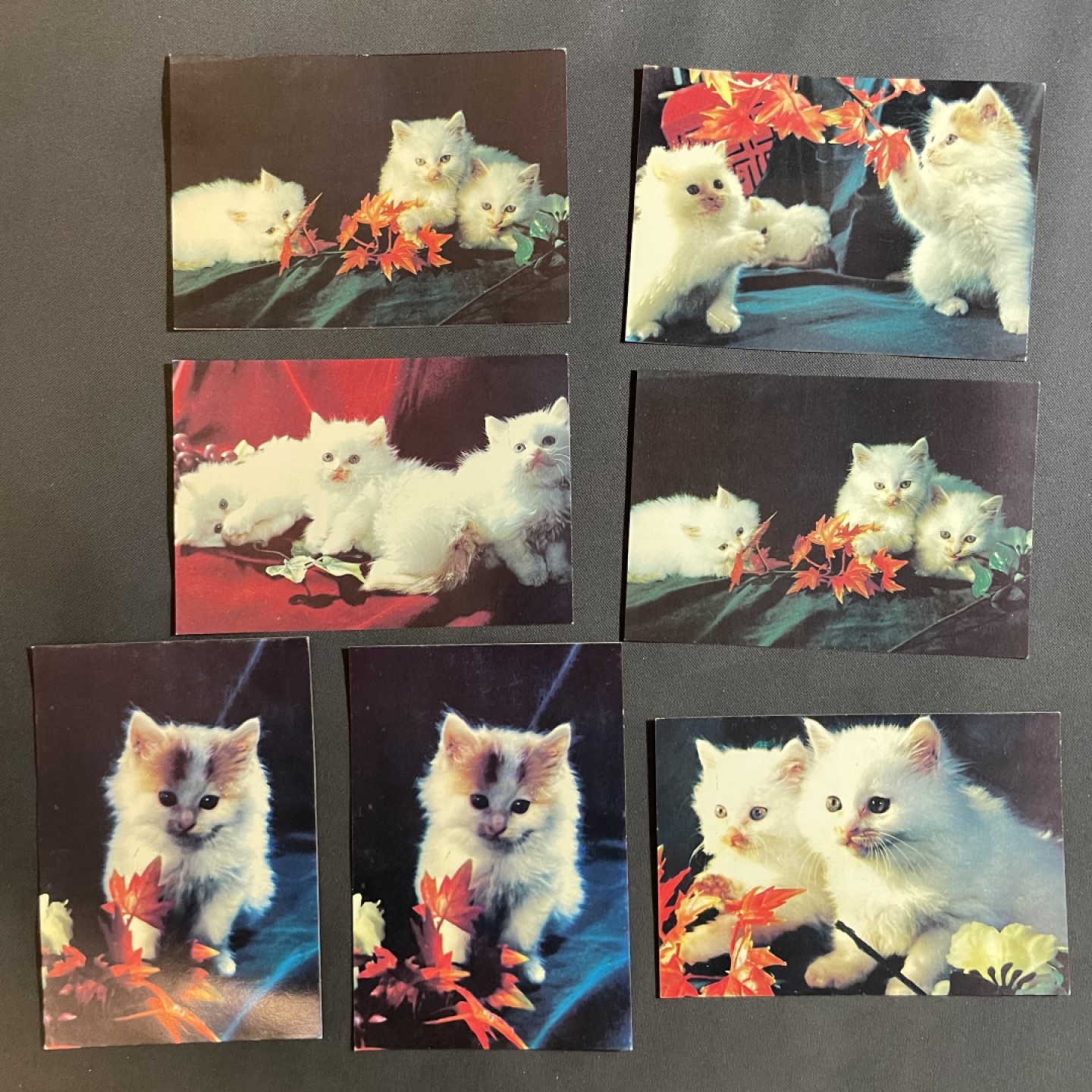 【第39期】莲池国际邮品拍卖 【秒杀】猫猫明信片7张
