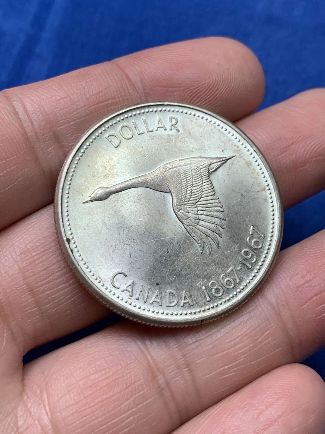 《竞宝斋》三少爷老婆本专场-第156场 (全场包邮) 加拿大1967年大雁1元银币，原光可评级好品相