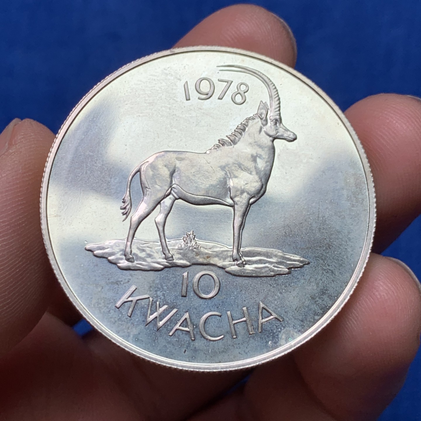 《竞宝斋》三少爷老婆本专场-第156场 (全场包邮) 马拉维1978年10克瓦查大银币，925银，重量35g，发行量仅4009枚