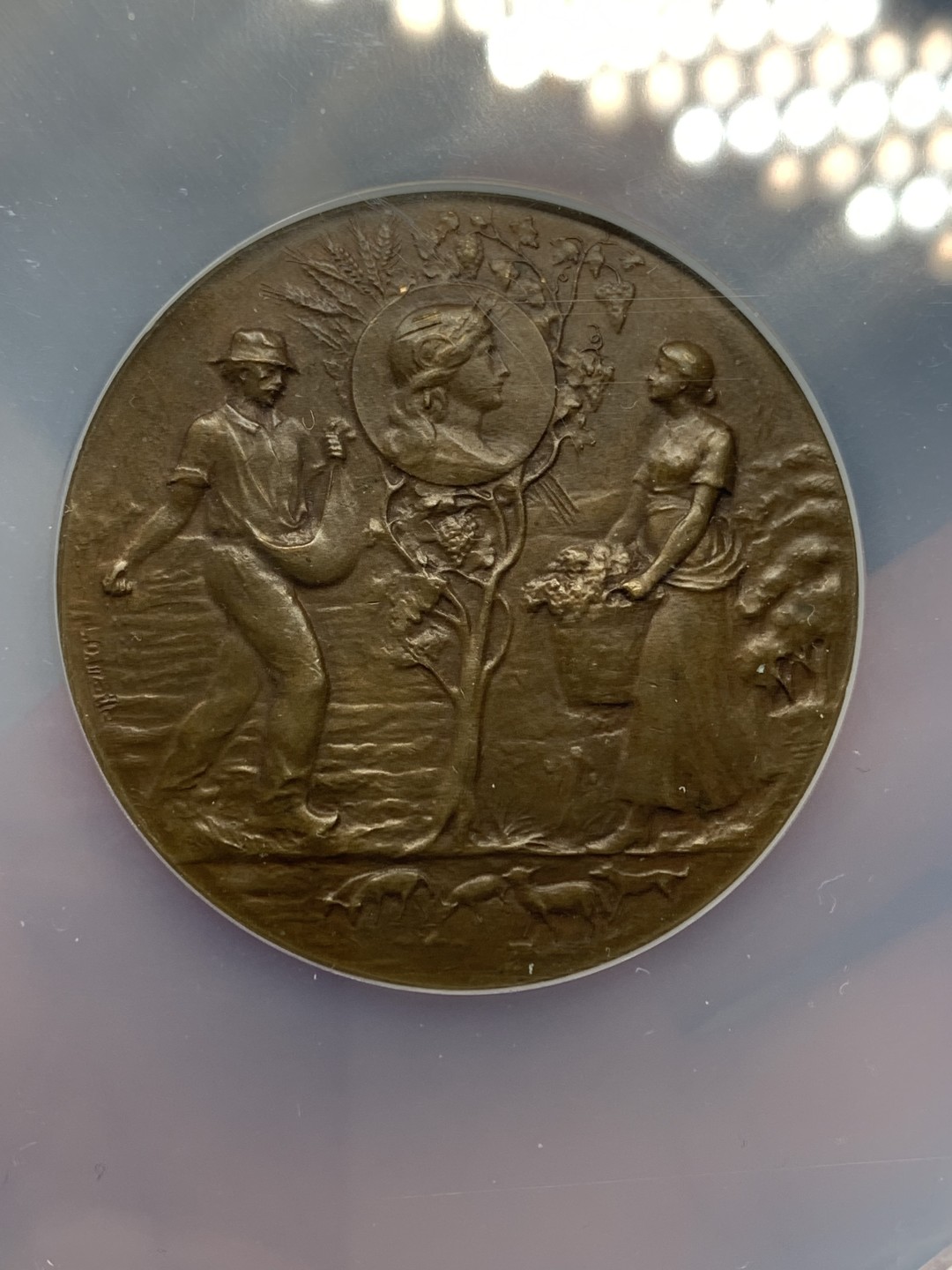 《竞宝斋》三少爷老婆本专场-第156场 (全场包邮) NGC MS62BN 法国加仑河农业部办公室大铜章，NGC加大盒