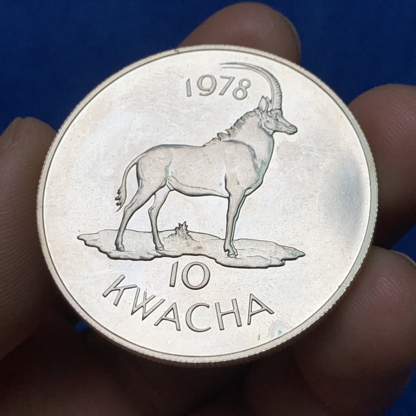 《竞宝斋》三少爷老婆本专场-第156场 (全场包邮) 马拉维1978年10克瓦查大银币，925银，重量35g，发行量仅4009枚