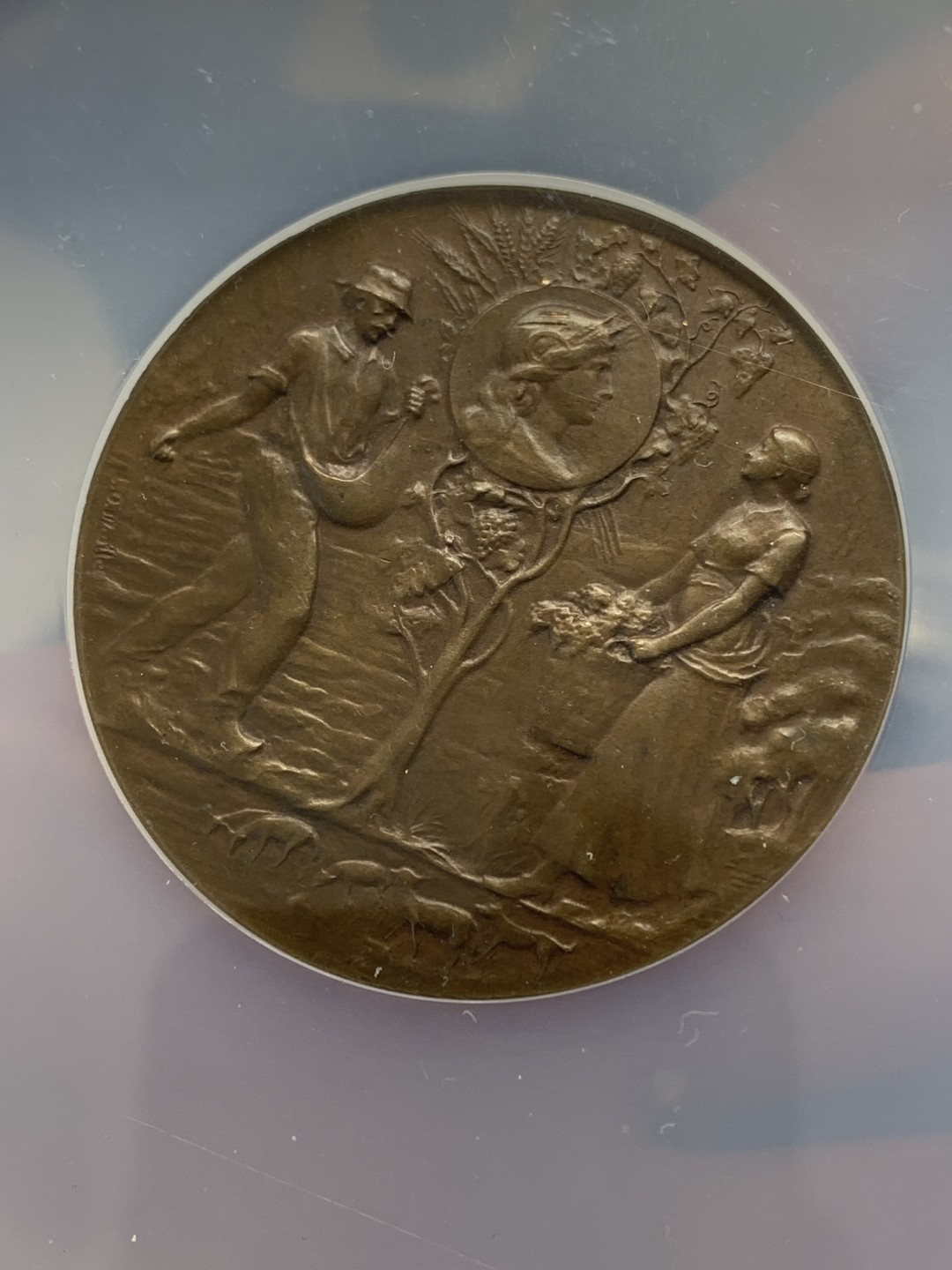 《竞宝斋》三少爷老婆本专场-第156场 (全场包邮) NGC MS62BN 法国加仑河农业部办公室大铜章，NGC加大盒