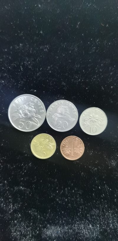 硬币 - 新加坡分币