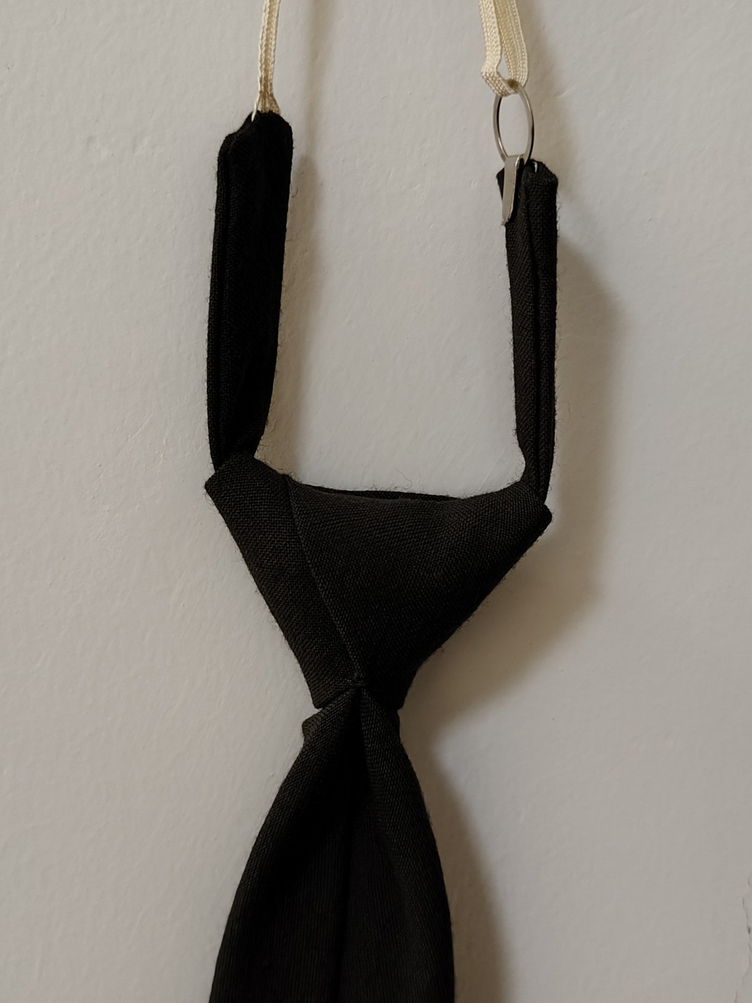 全场0元起拍 第49期 咸鱼国勋章拍卖专场 4月23日（周三）下午6：00开始 东德陆军领带