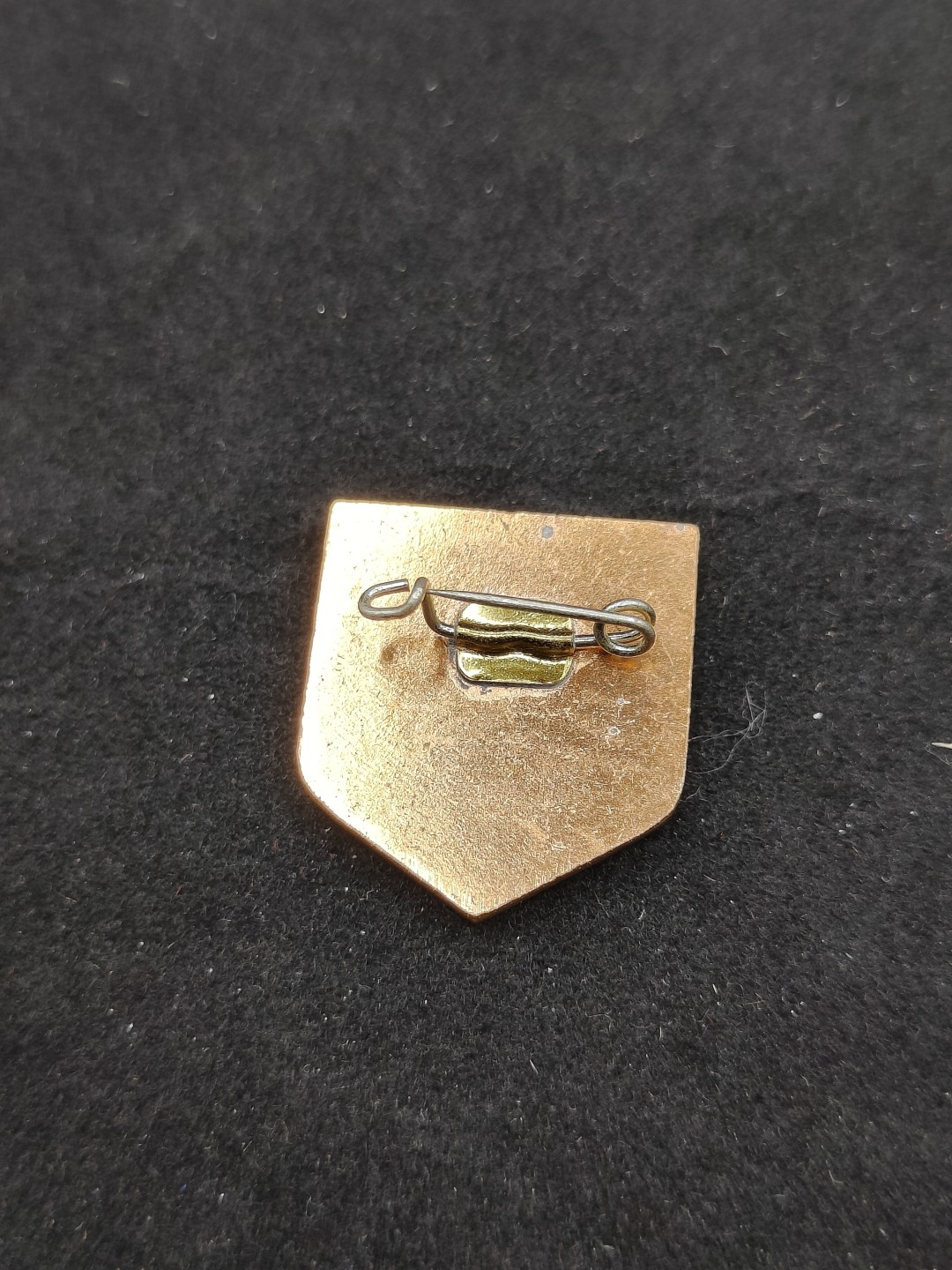 全场0元起拍 第49期 咸鱼国勋章拍卖专场 4月23日（周三）下午6：00开始 东德红十字徽章