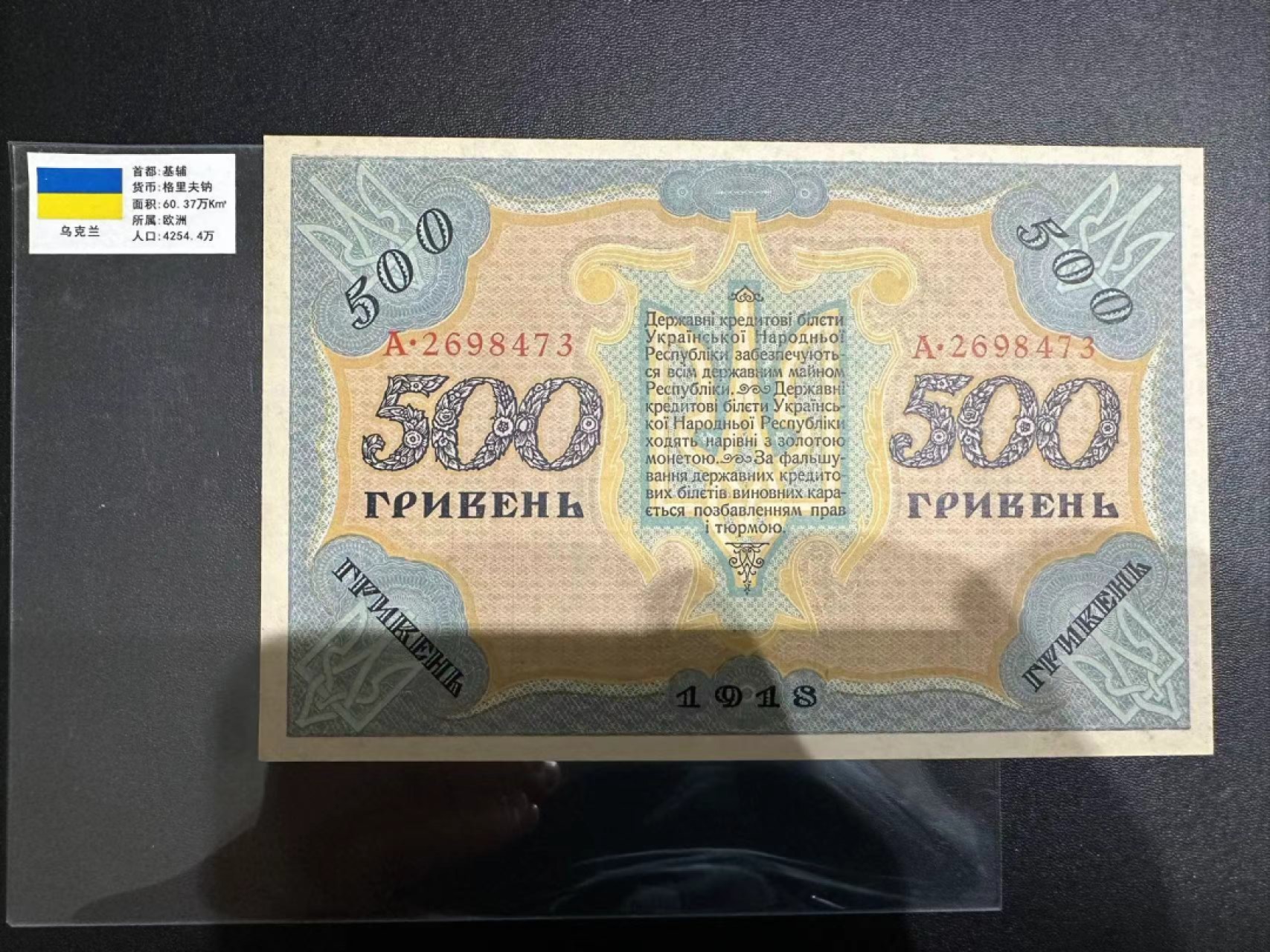 《外钞收藏家》第二百六十三期（连拍第一场） 乌克兰乌克兰1918年500格里夫纳 基本全新 少量潮