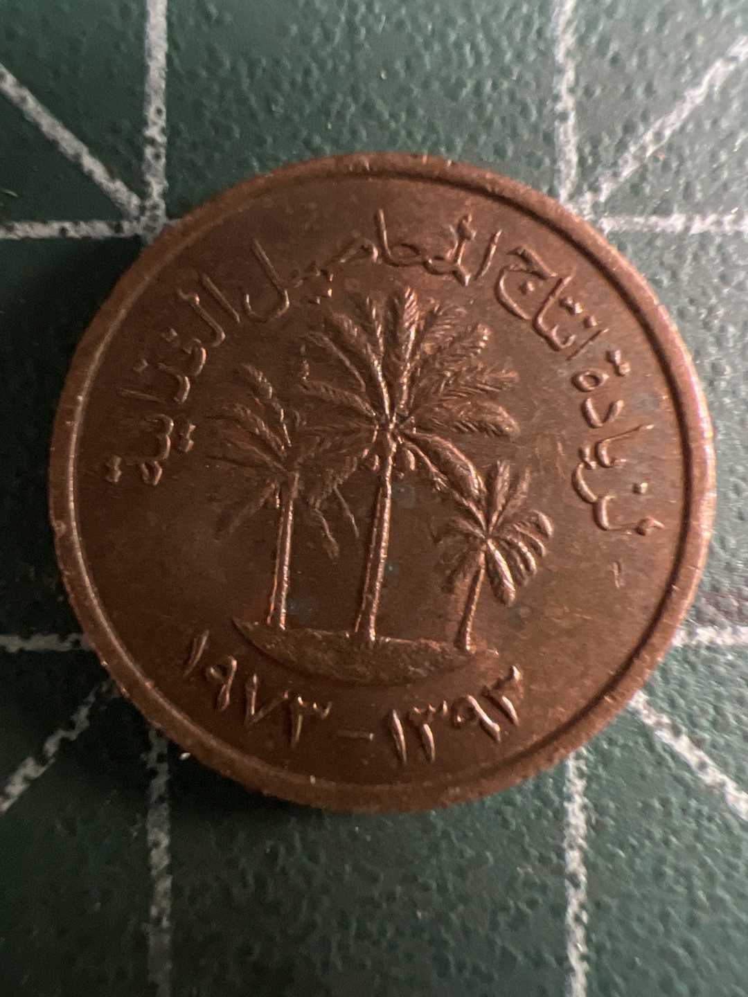 泡泡堂微拍第133幕硬币捡漏可累计专场👿👿，累计满二十元包邮，接受代拍业务 阿联酋椰枣树