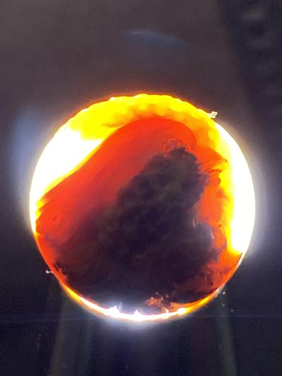 精美亚光冰飘战国红玛瑙手工俏色巧雕刻雄鸡报晓珠子一颗！ 精美亚光冰飘战国红玛瑙手工俏色巧雕刻雄鸡报晓珠子一颗！